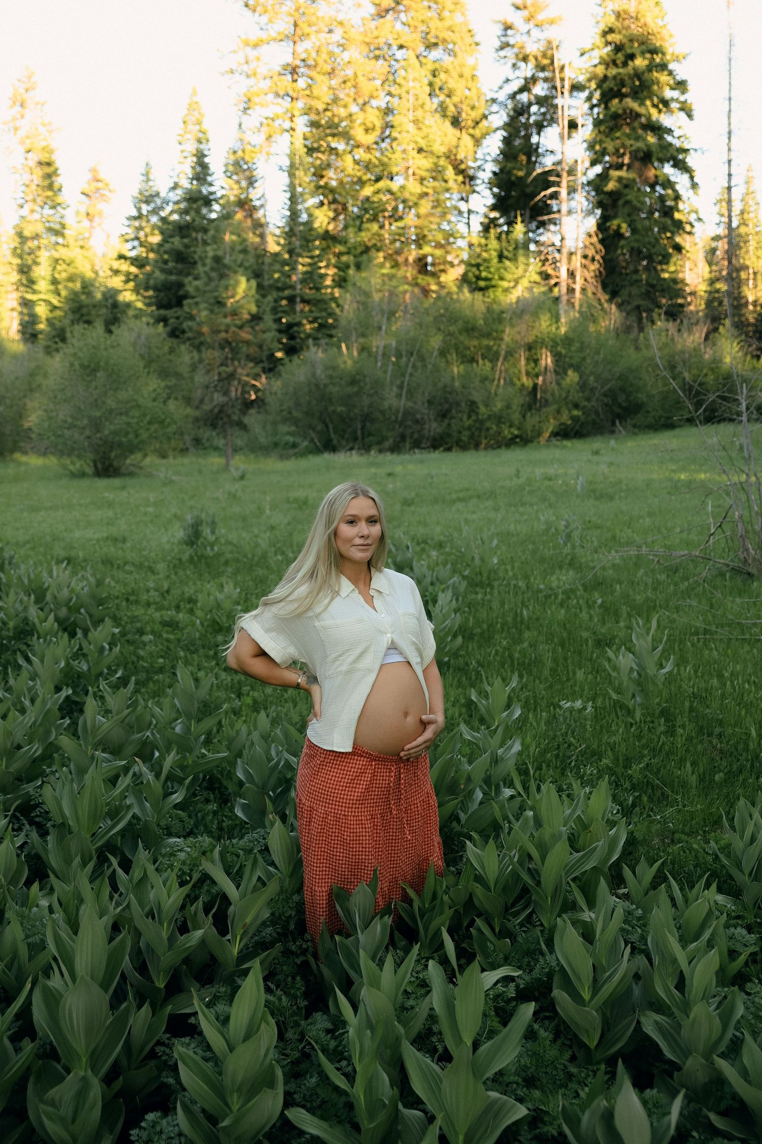 A person poses in a field of tall green plants during sunset among evergreen trees.