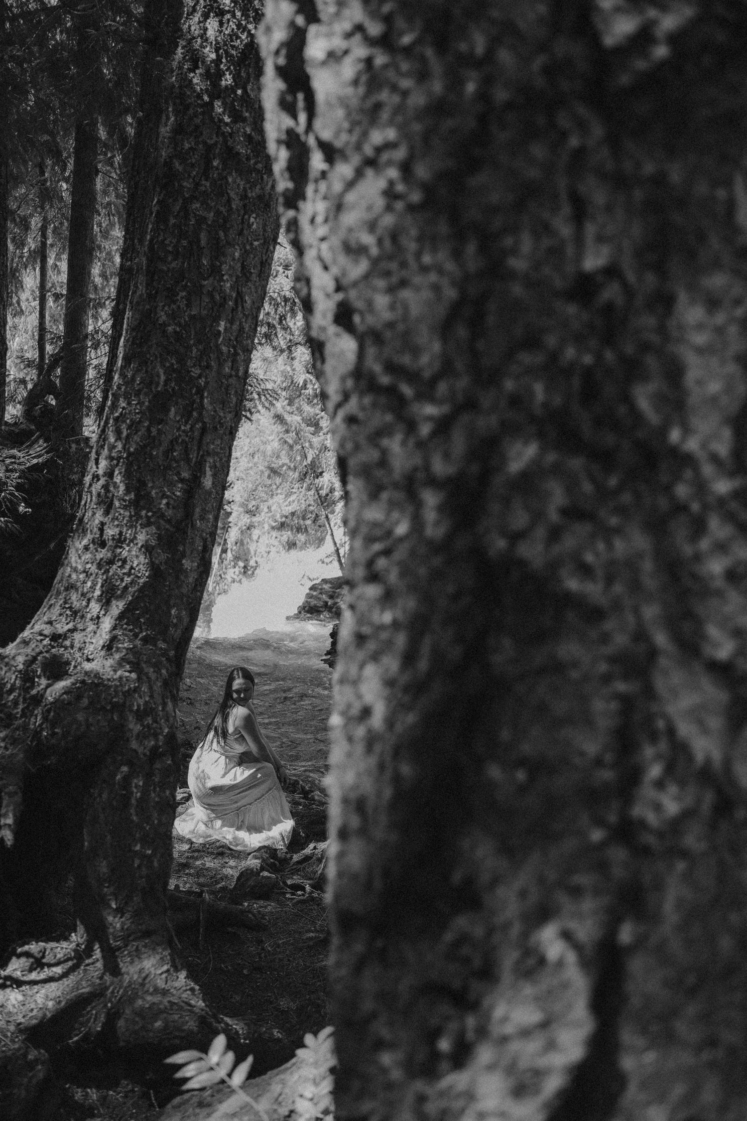 Artistic black and white photograph of trees in a misty forest.