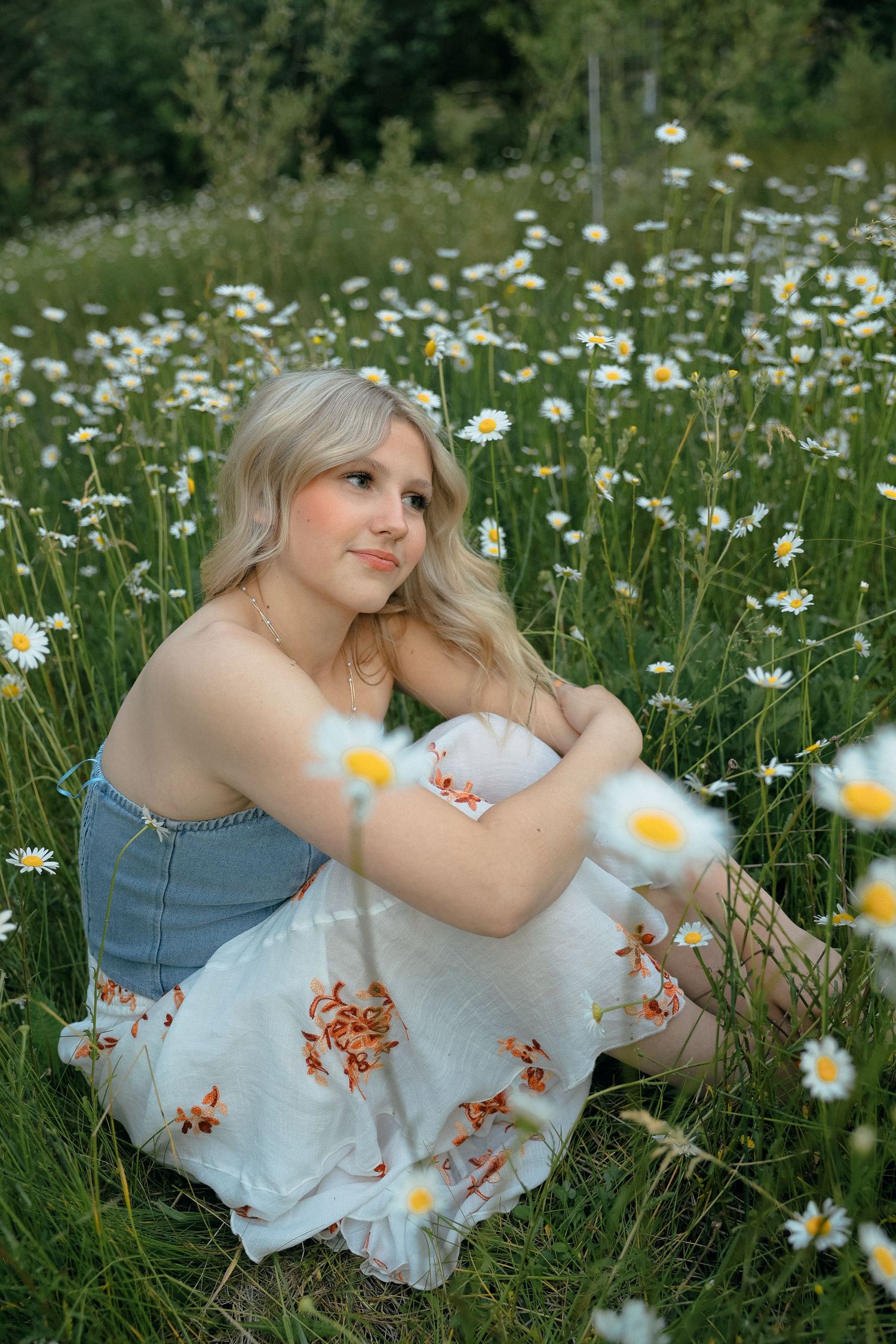 A tranquil scene shows a person in a white dress sitting in a field of blooming daisies on a summer day.