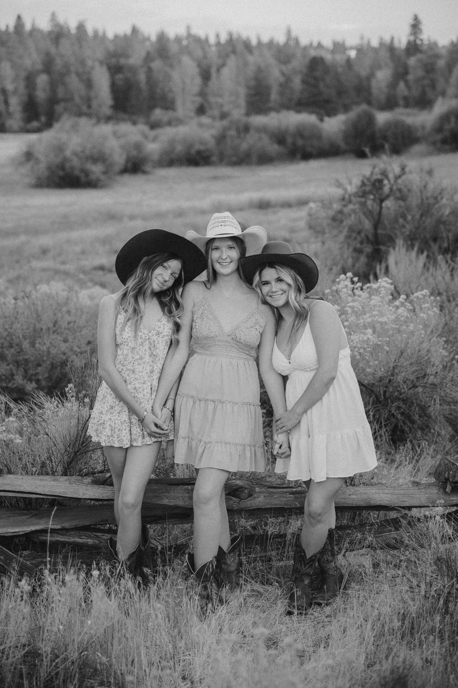 Three friends in summer dresses and cowboy hats pose on rustic fence with forest backdrop.