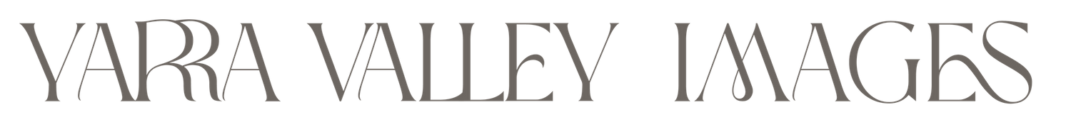 White text logo reading Yarra Valley Images on black background.