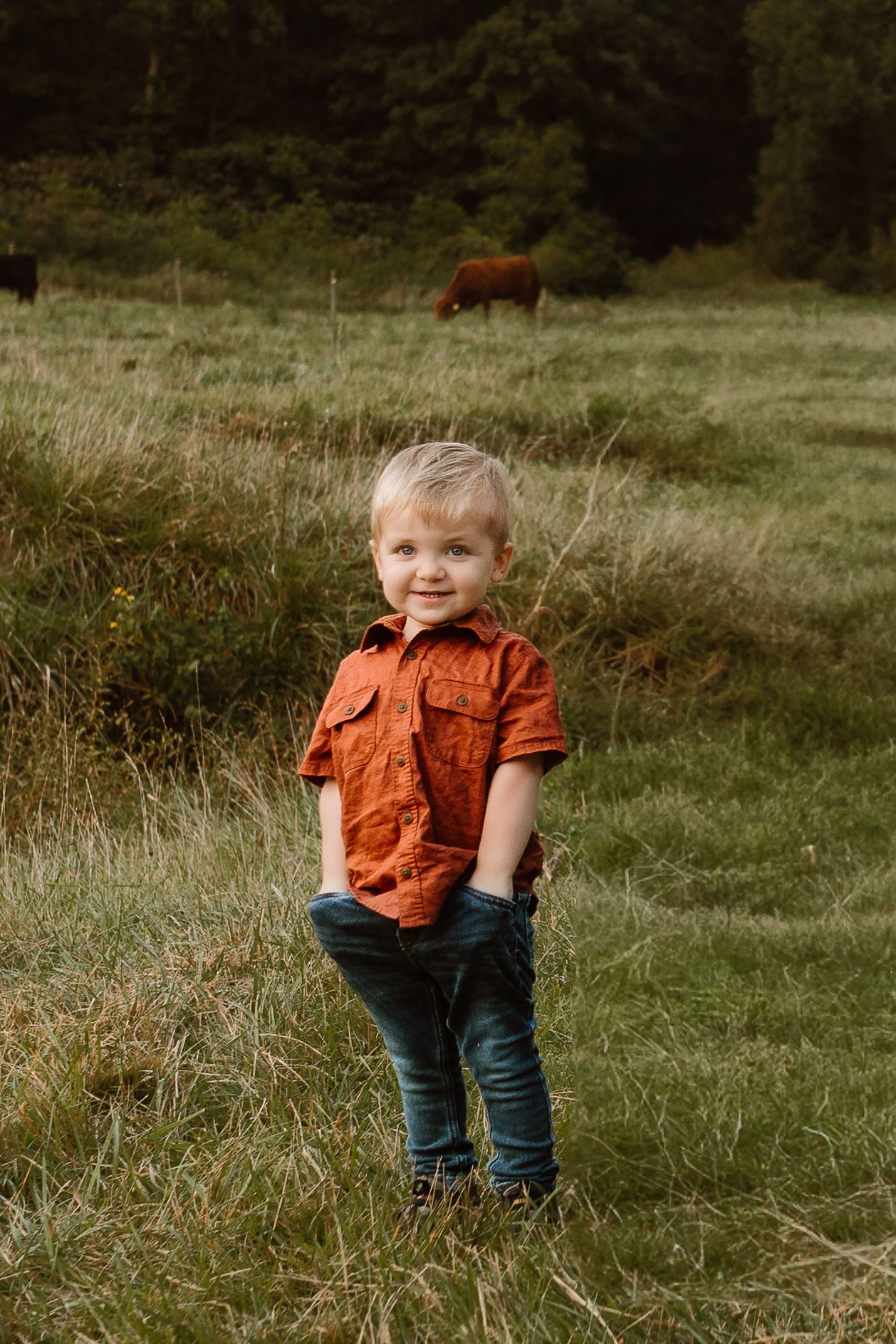 Small figure in bright orange button-up shirt poses in meadow with grazing cow in background.