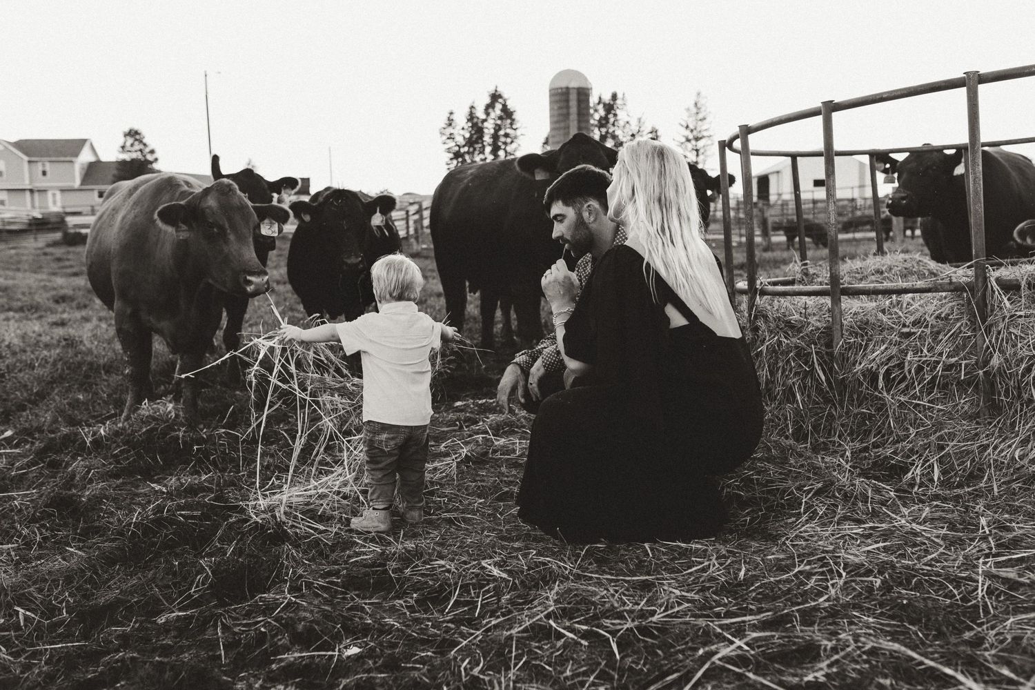 A black and white photo of people visiting with cows in a rural farm setting.