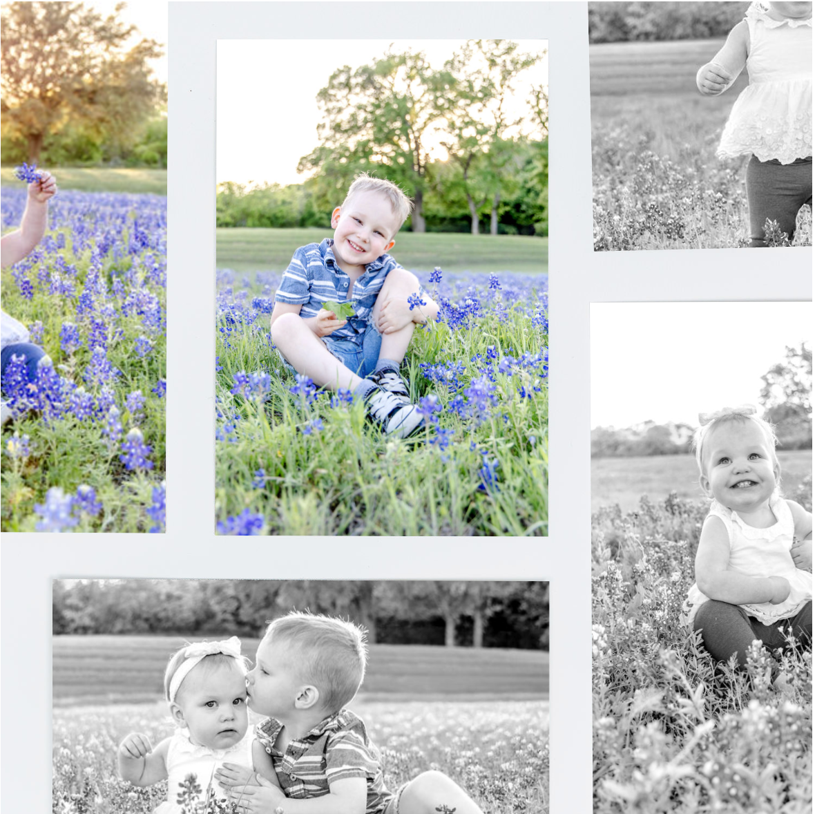 A collection of beautiful springtime portraits in a field of blooming bluebonnets on a sunny day.