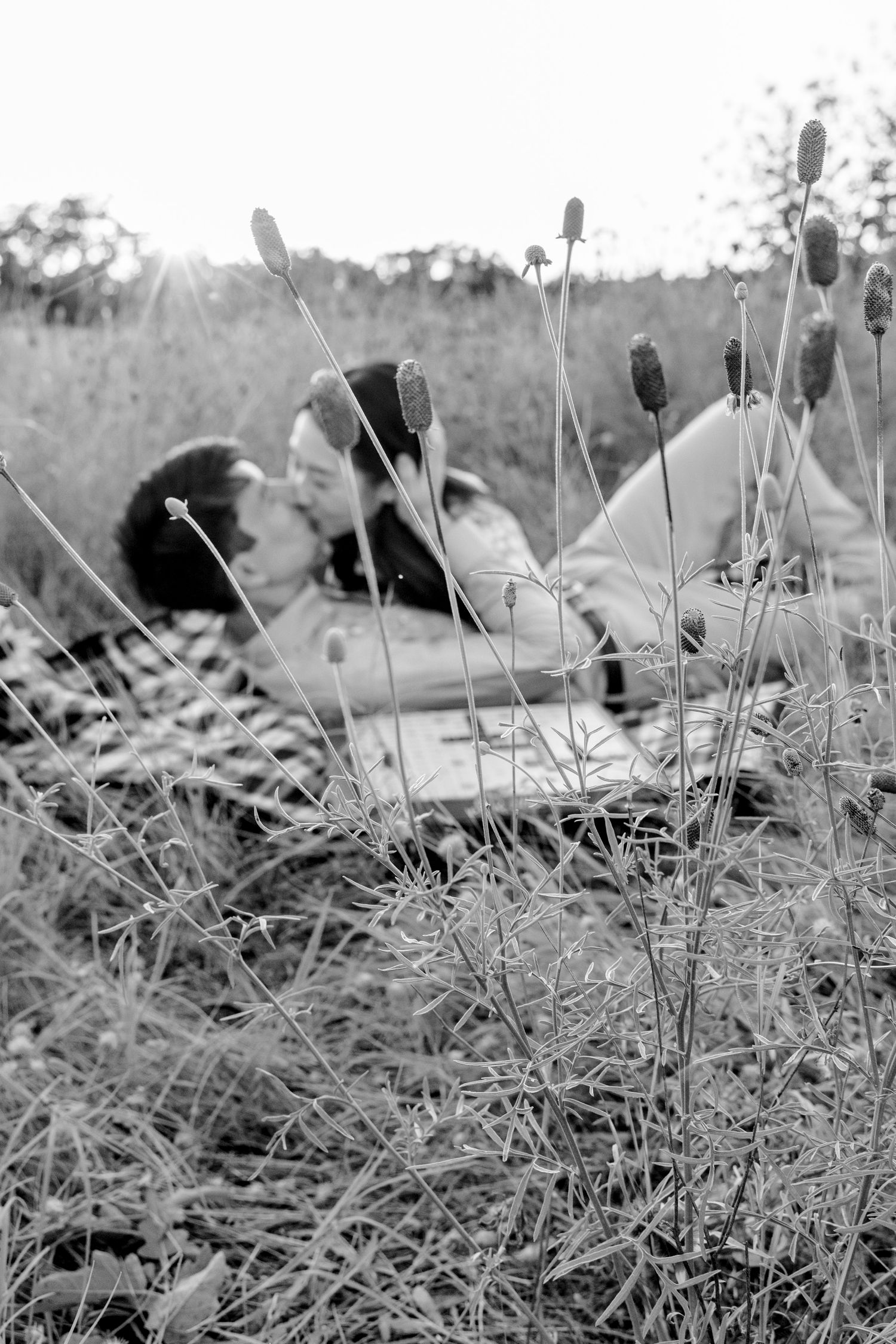 A black and white photograph shows a quiet moment of relaxation in a grassy meadow with wildflowers in the foreground.