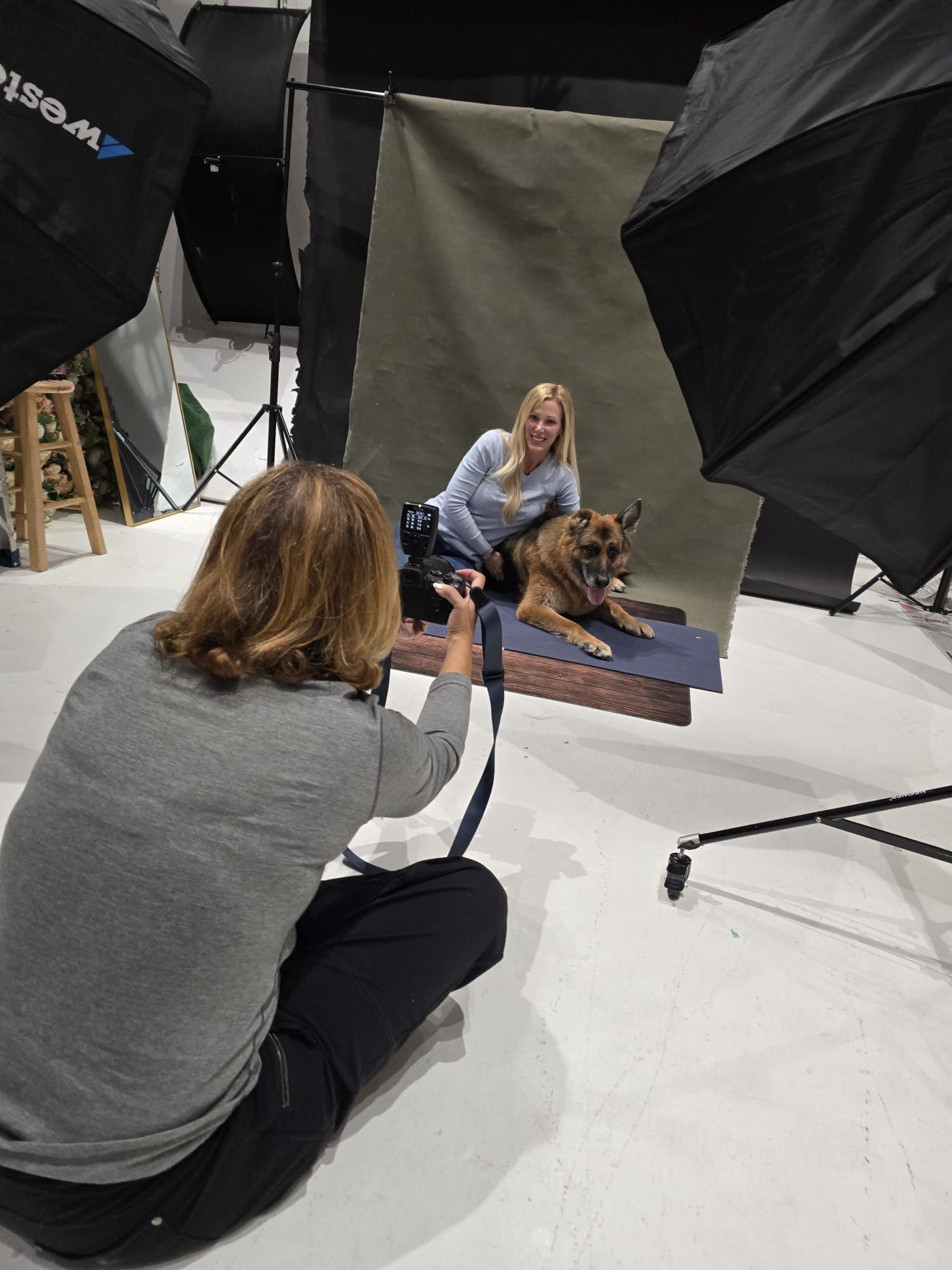 Behind the scenes photo shoot with dog and photography equipment in studio setting.