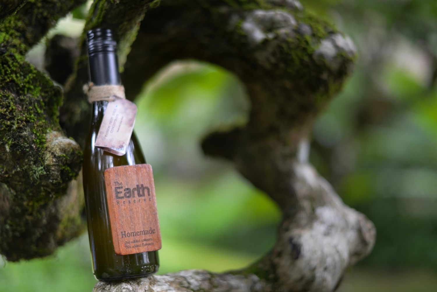 Glass bottle labeled Earth resting on mossy tree trunk in natural setting.