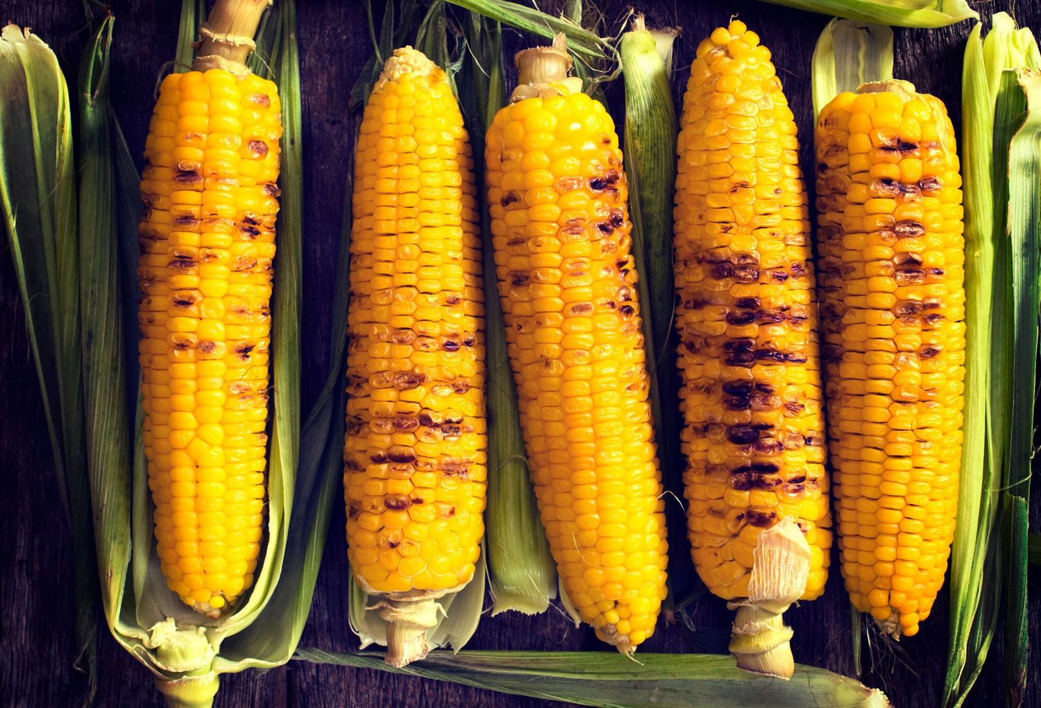 Grilled corn on the cob with charred grill marks arranged in a row.