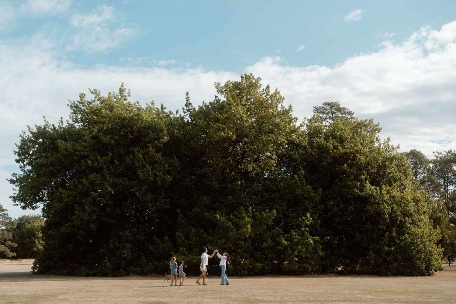Editorial family photography