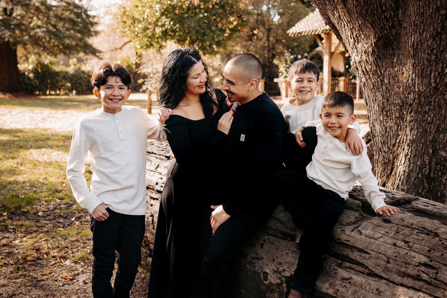 A family wearing black and white outfits shares candid laughter while posing together near a large tree trunk.
