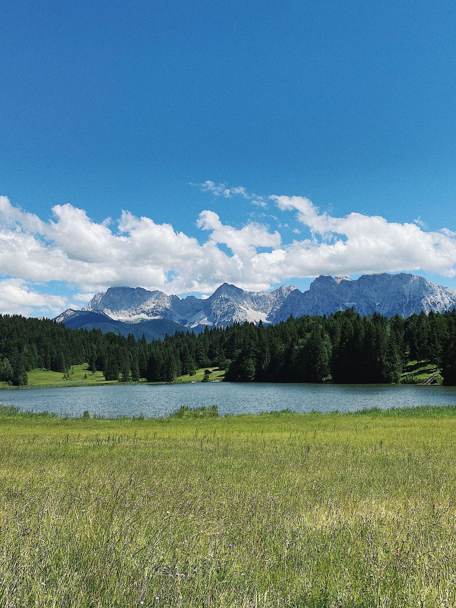 Expansive meadow landscape with lake and snow-capped mountain range under bright blue skies.