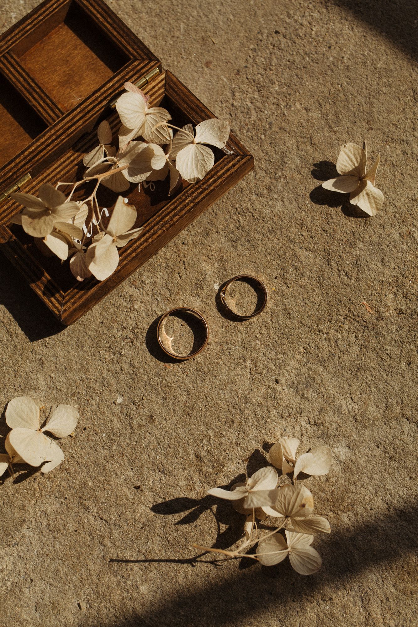 Wedding rings and delicate paper butterflies arranged on wooden surface in warm lighting.