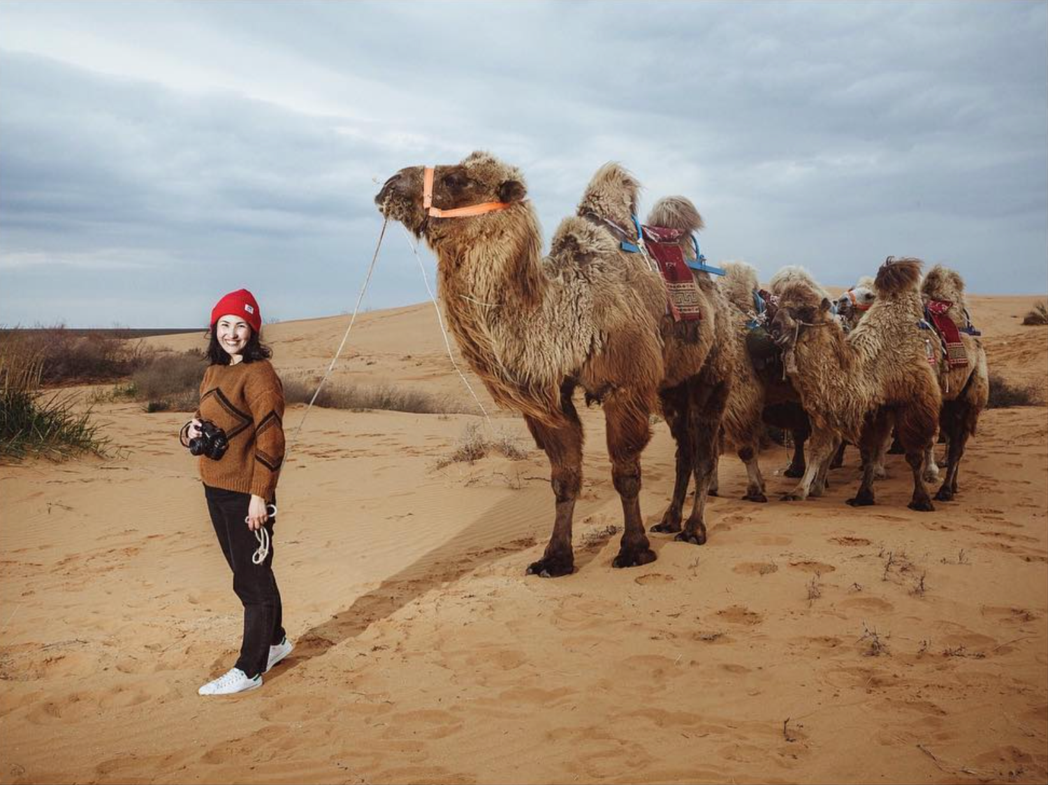 Desert travelers pose with resting camels on sandy dunes during an adventure trip.
