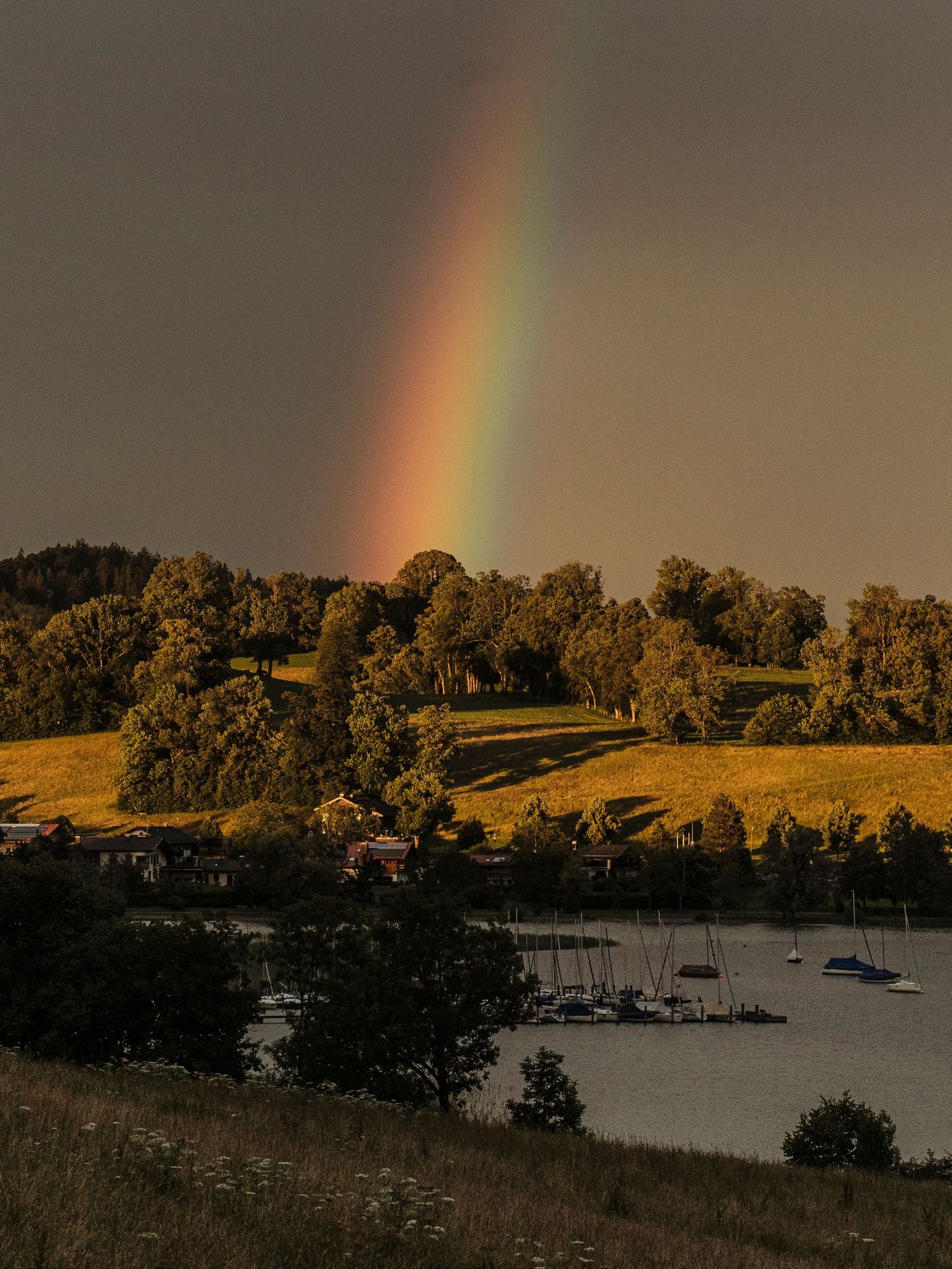 Golden sunset illuminates a lake shore with a rainbow stretching across the dusky sky.