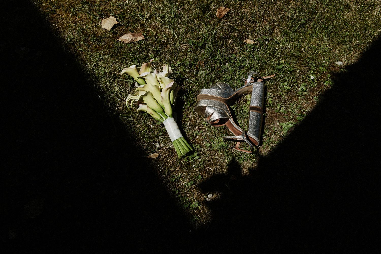 Green grass with scattered fallen leaves and shadows.