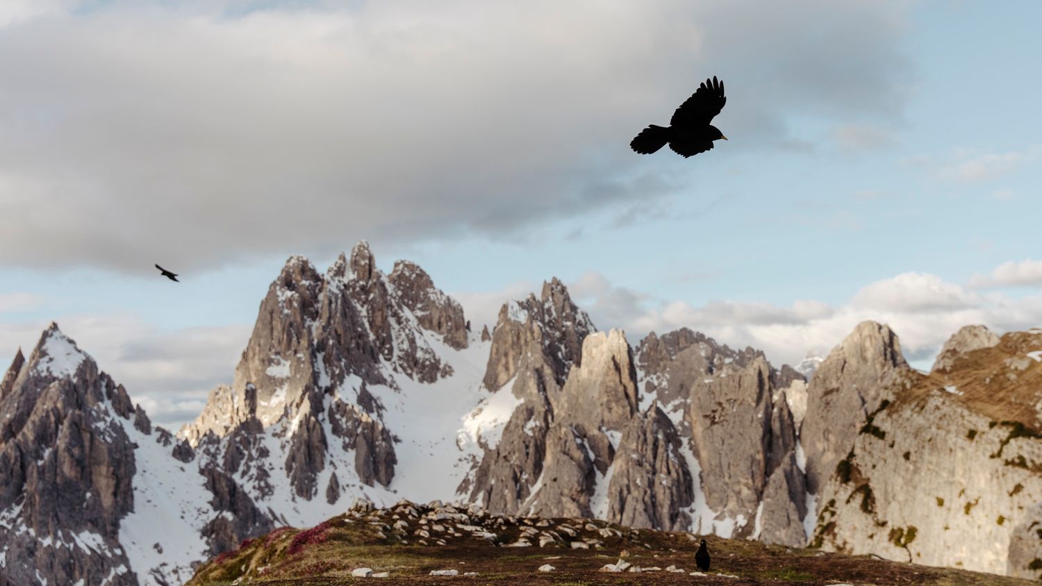 Soaring eagle flies over jagged snow-capped mountain peaks against cloudy sky.