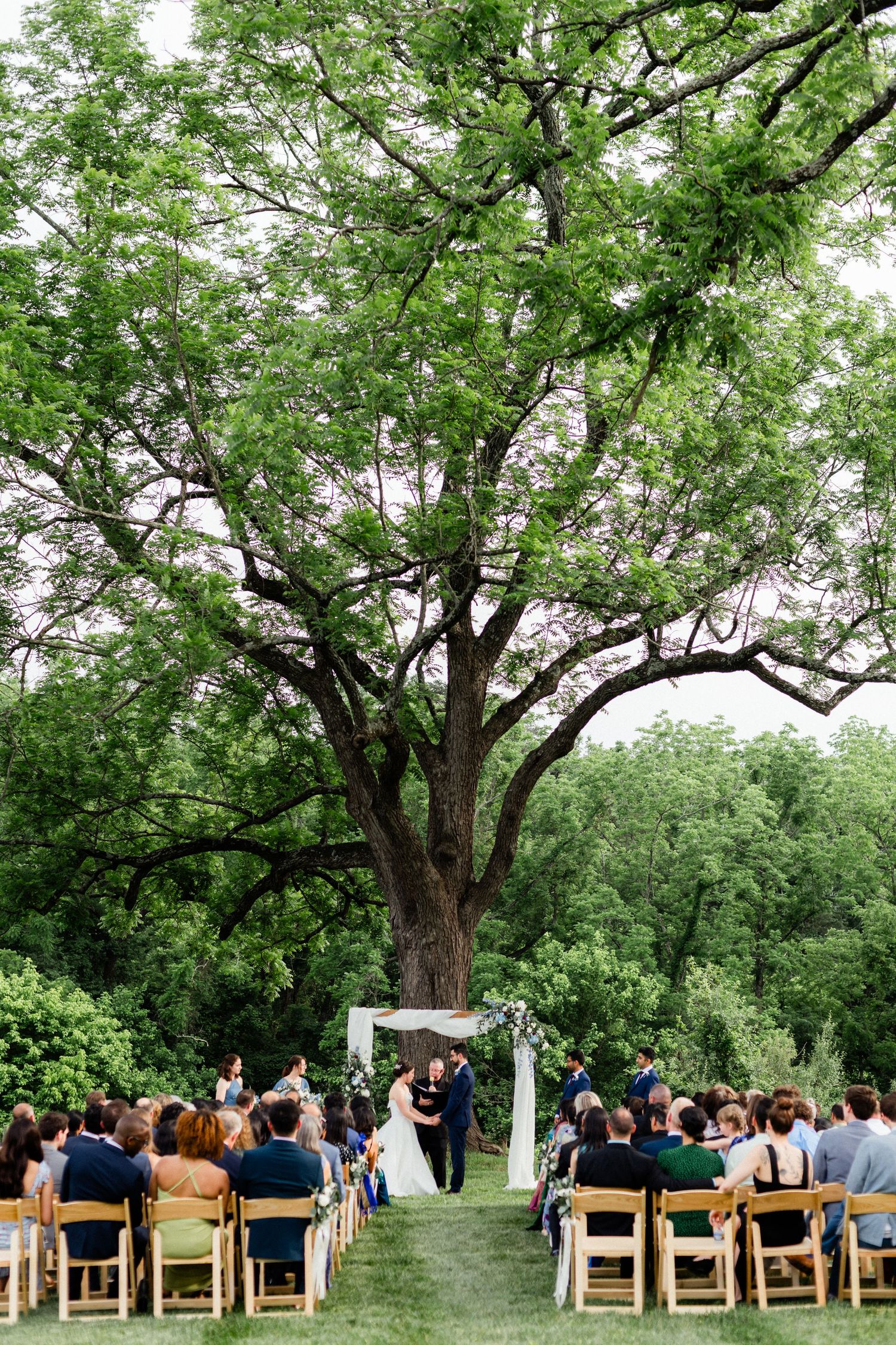 the bride and groom under a tree during outdoor wedding ceremony