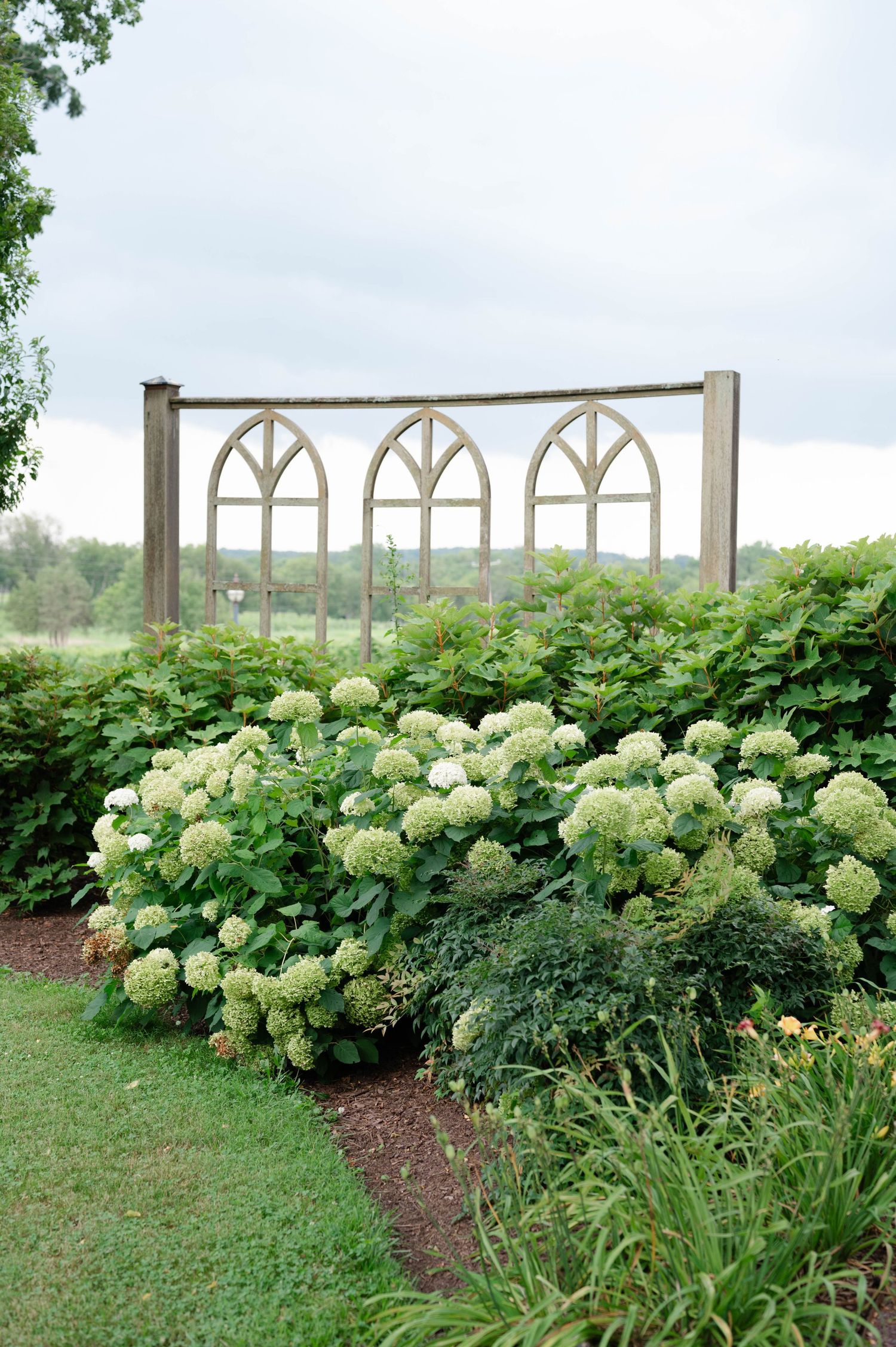 Arches and Hydrangeas at Old House Vineyards