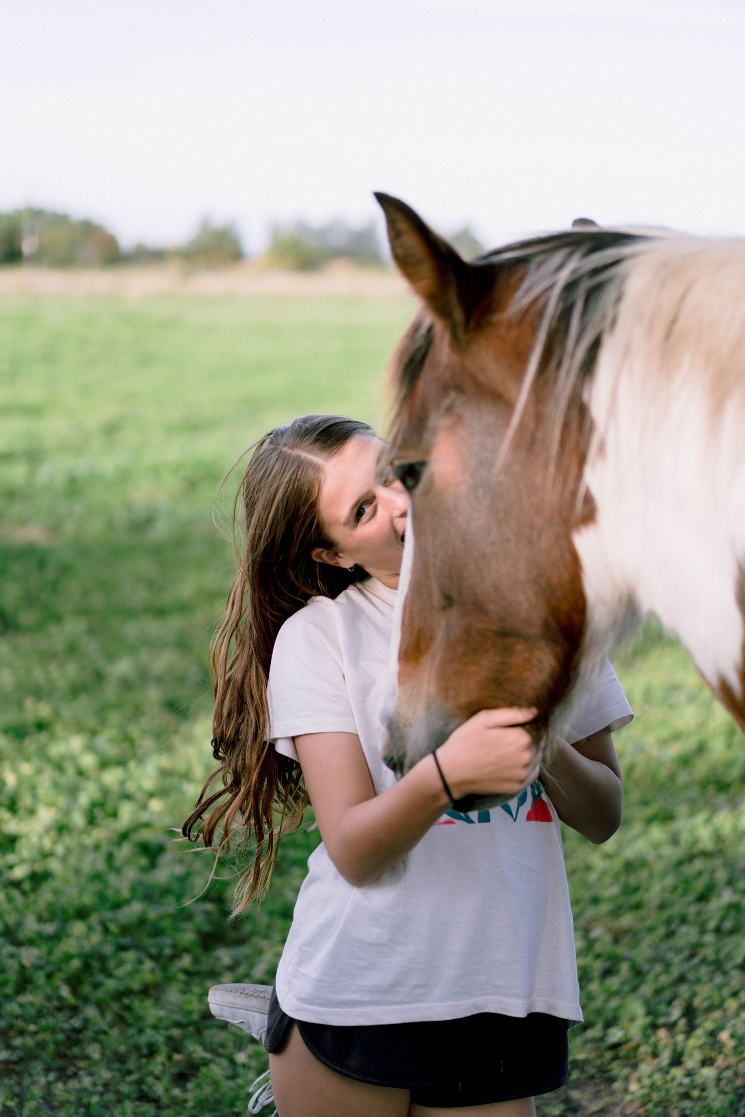 A brown and white paint horse nuzzles with someone in a grassy field on a sunny afternoon.