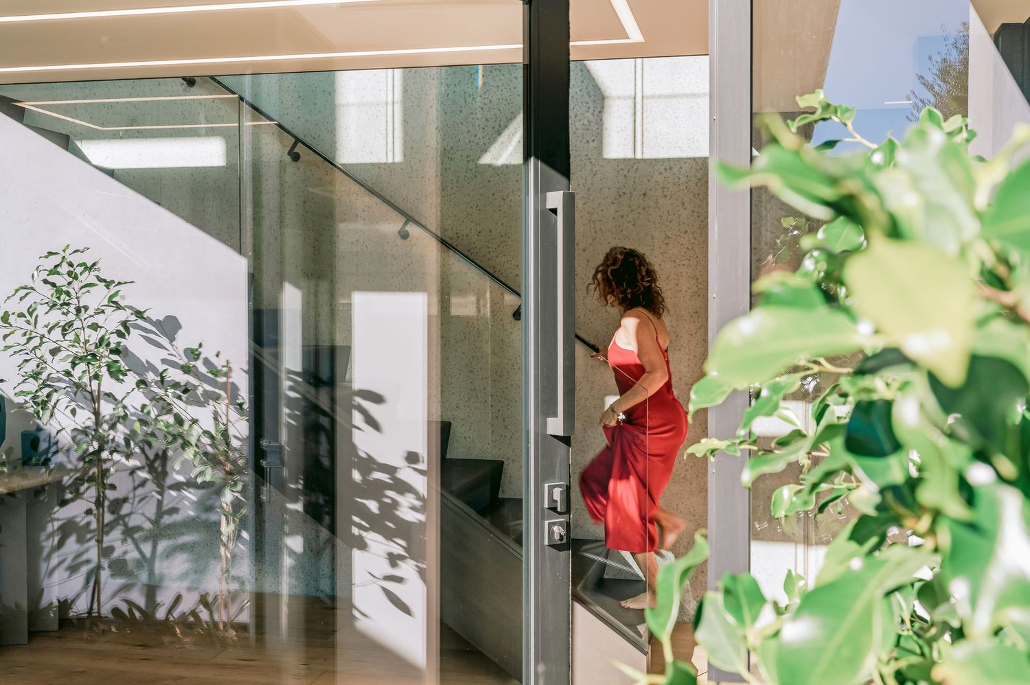 Sleek modern staircase with glass balustrade and tropical plants visible through large windows.