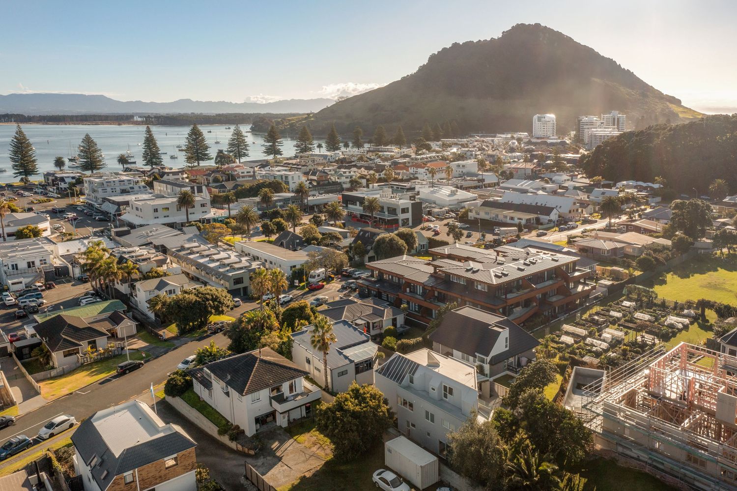 Aerial photograph of coastal neighborhood with mountain backdrop during golden hour.