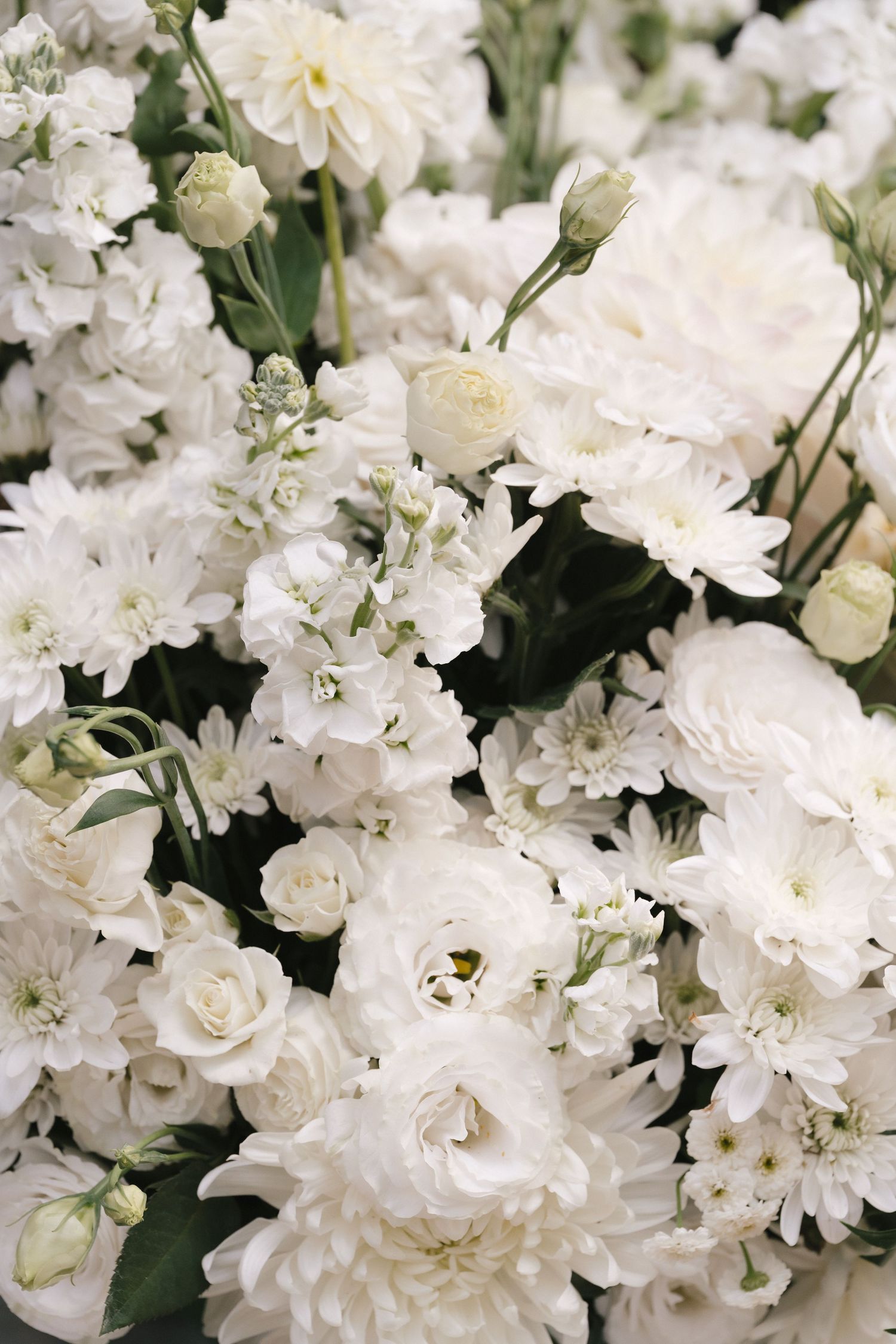 Close up of elegant white carnations and spray roses in a lush floral arrangement with green foliage and unopened buds.