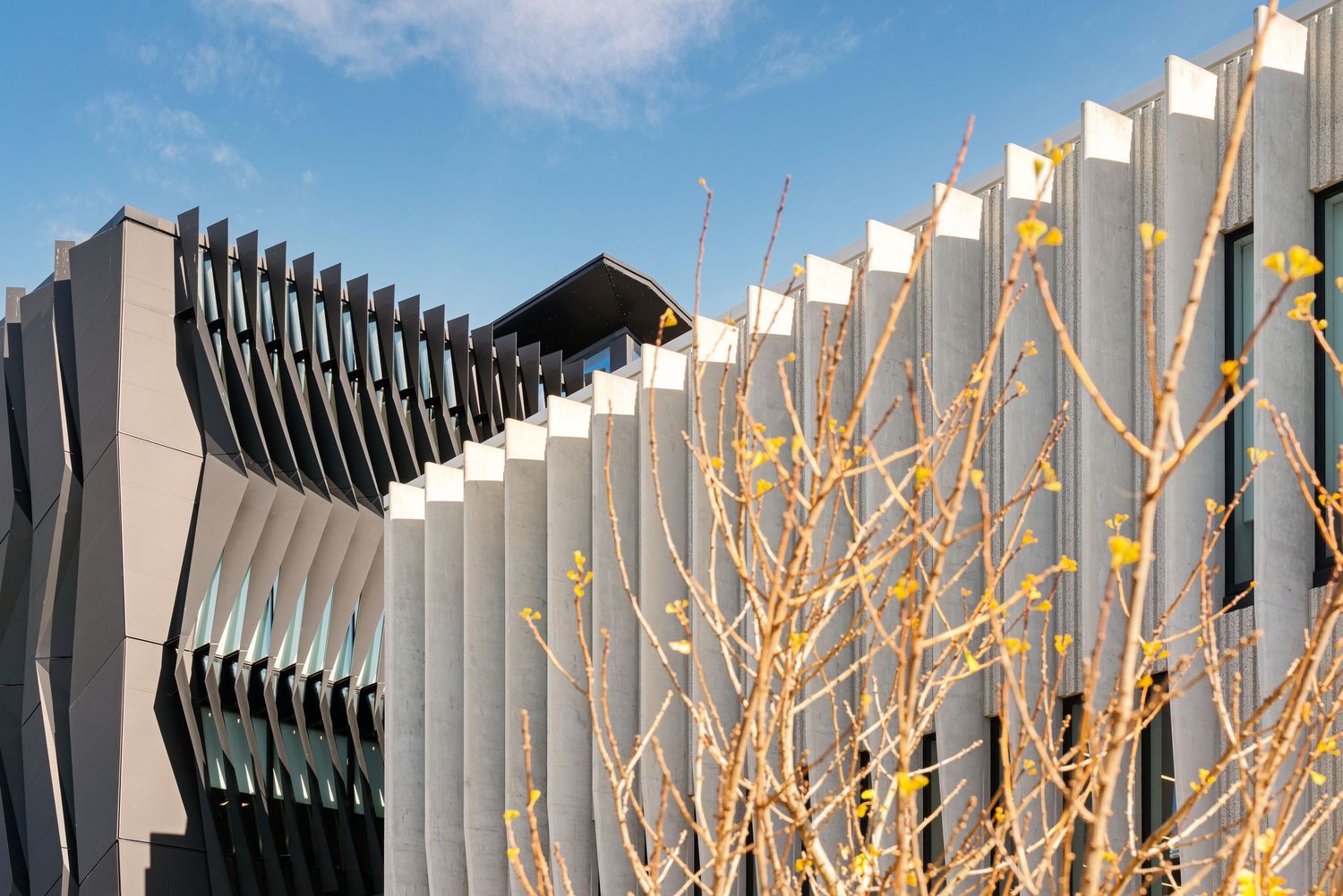 Modern architectural building with vertical white fins and illuminated trees against a cloudy sky.
