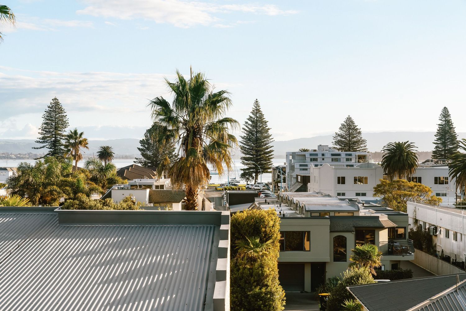 Aerial view of beachside residential area with palm trees and coastal architecture.