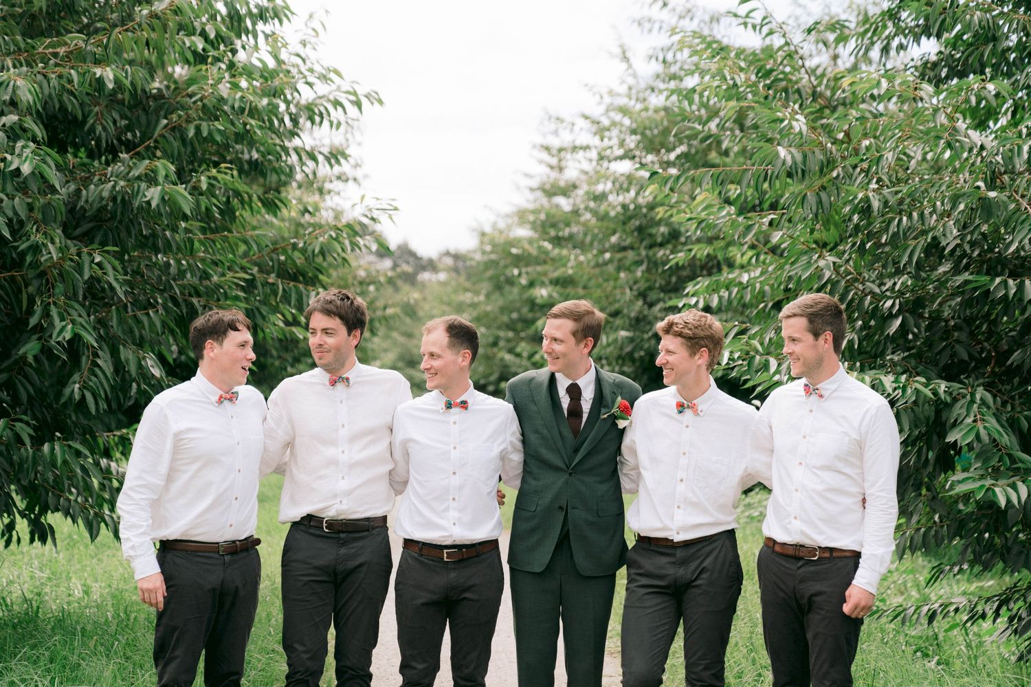 Wedding party in formal attire posed together on a green lawn.