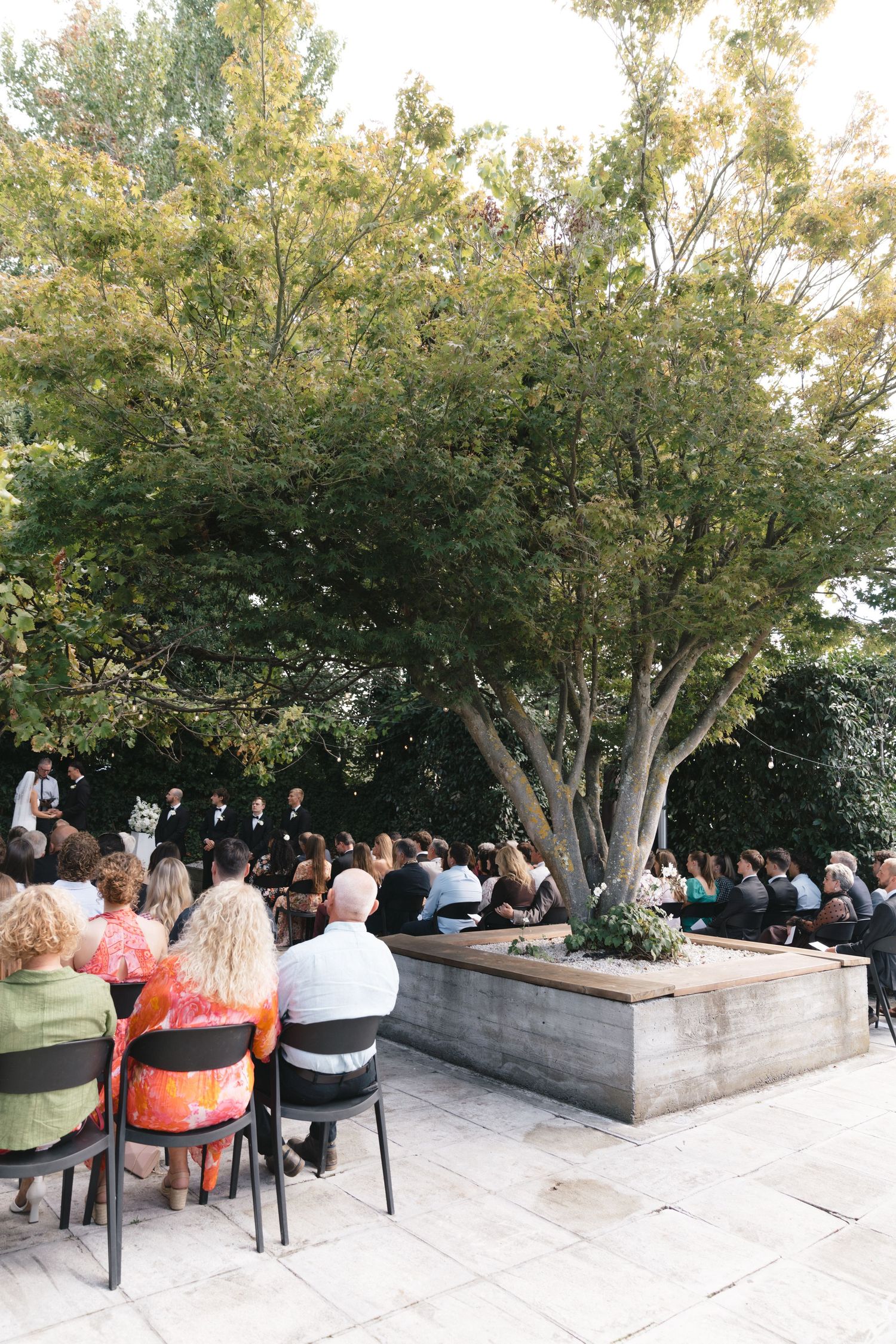 Wedding guests seated under large shade tree during outdoor ceremony.