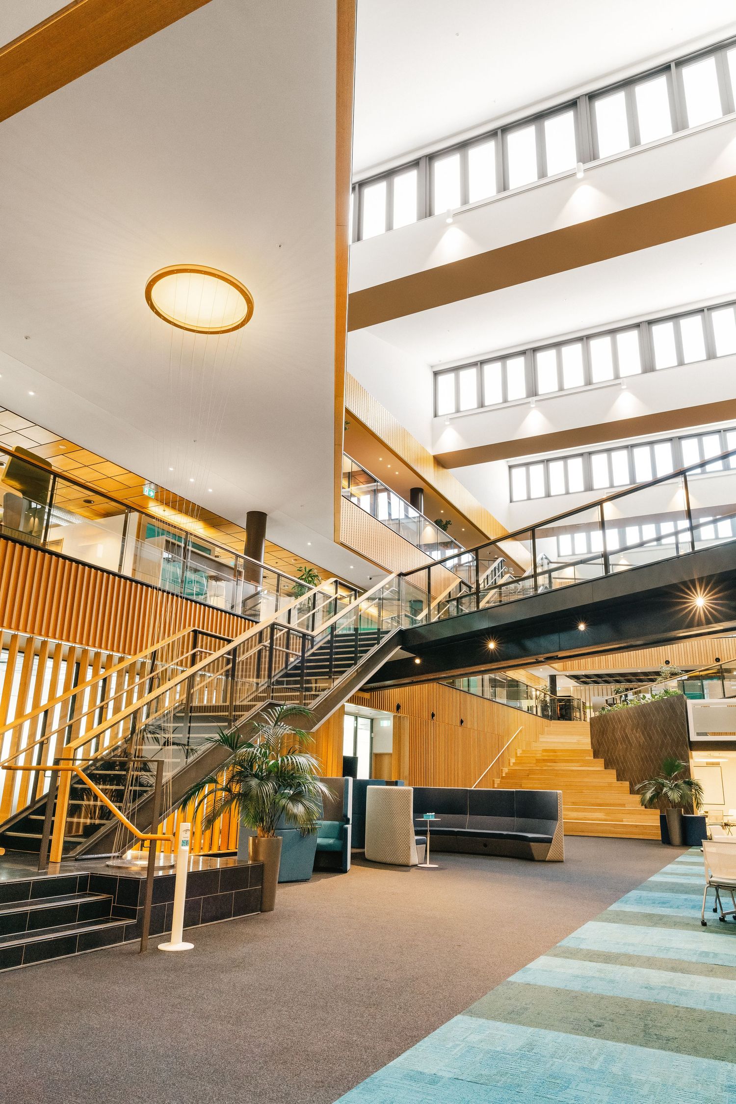 Modern office lobby featuring wooden stairs, skylights, and blue carpet with contemporary architectural design.
