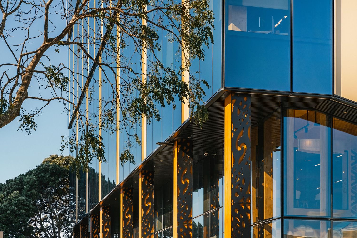 Glass office building facade with yellow supports and eucalyptus trees in the foreground.