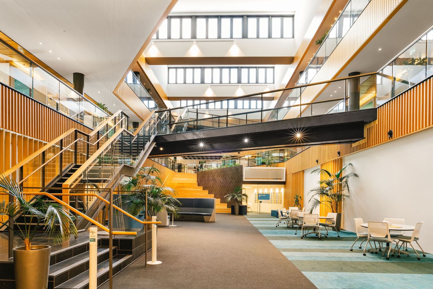 Modern office lobby interior with wooden staircase, skylights, and green plants features teal carpet and architectural details.