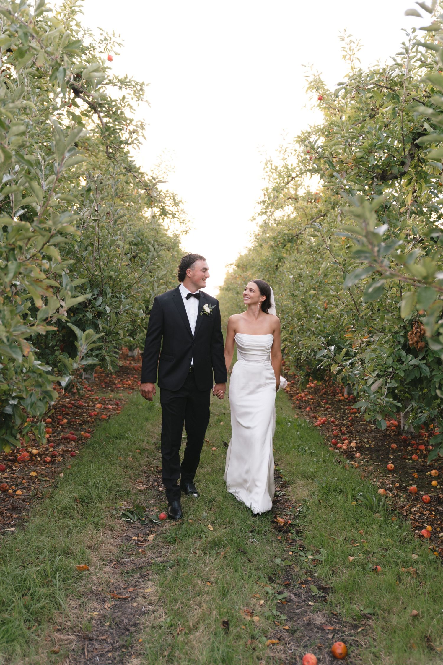 A couple walks together through a scenic apple orchard during sunset, with rows of trees creating a beautiful backdrop.