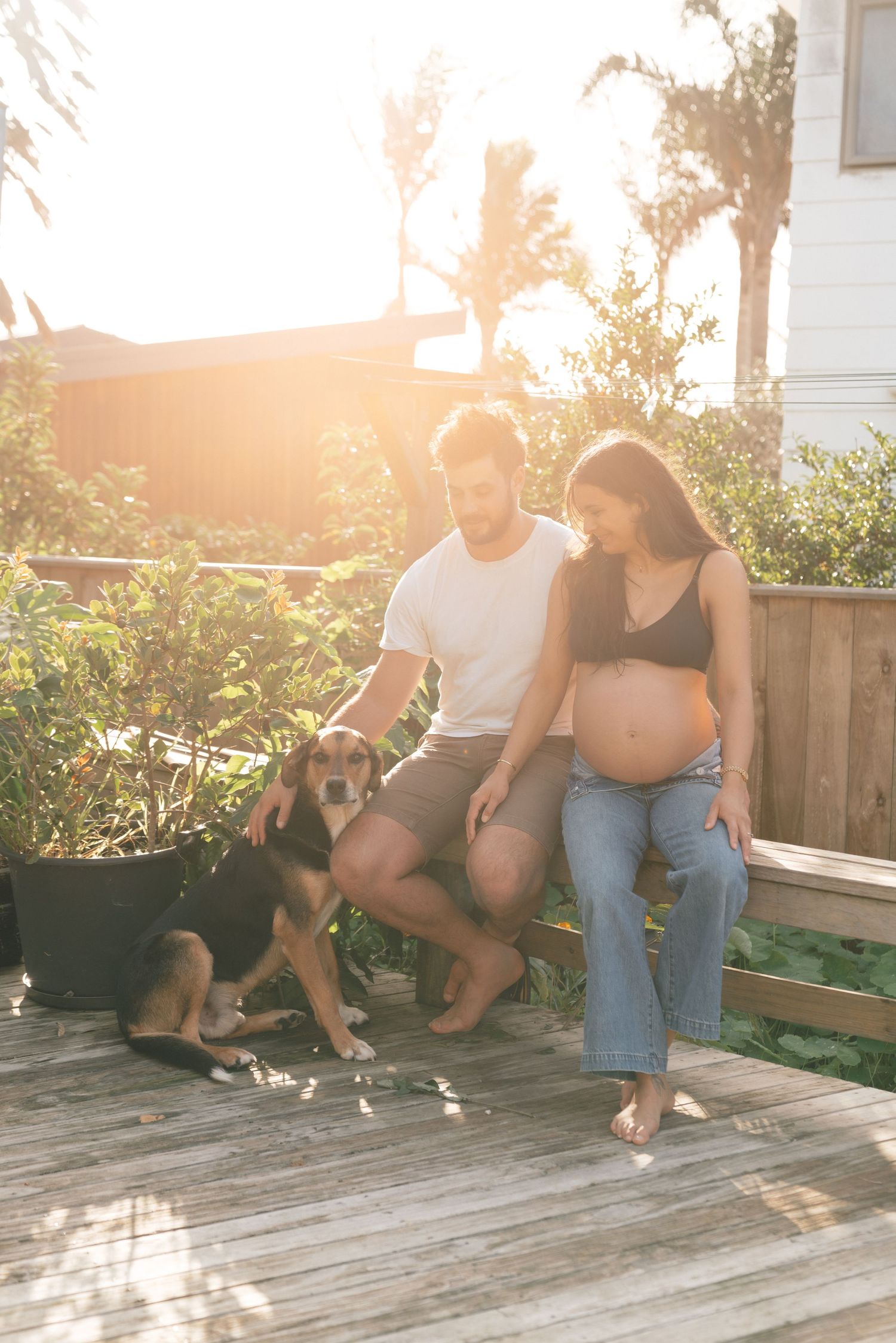 A series of photos showing a group sitting on a wooden deck at sunset with a cat playing around them in warm lighting.