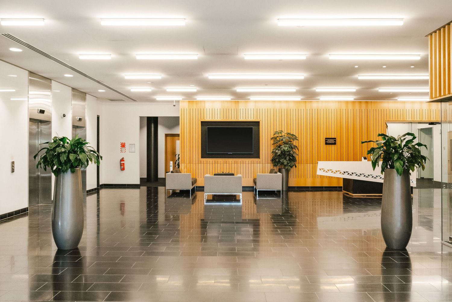 Modern office lobby with wooden accent wall, TV mount, potted plants in tall silver vases, and fluorescent lighting.