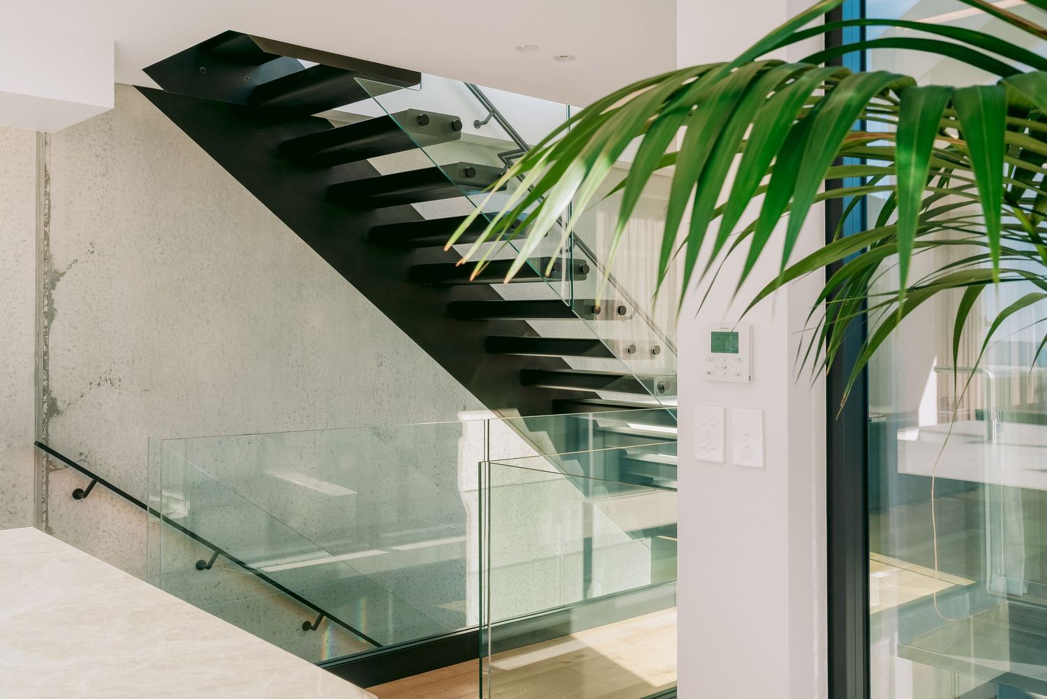 Modern staircase design with black steps and glass railings surrounded by tropical plants.