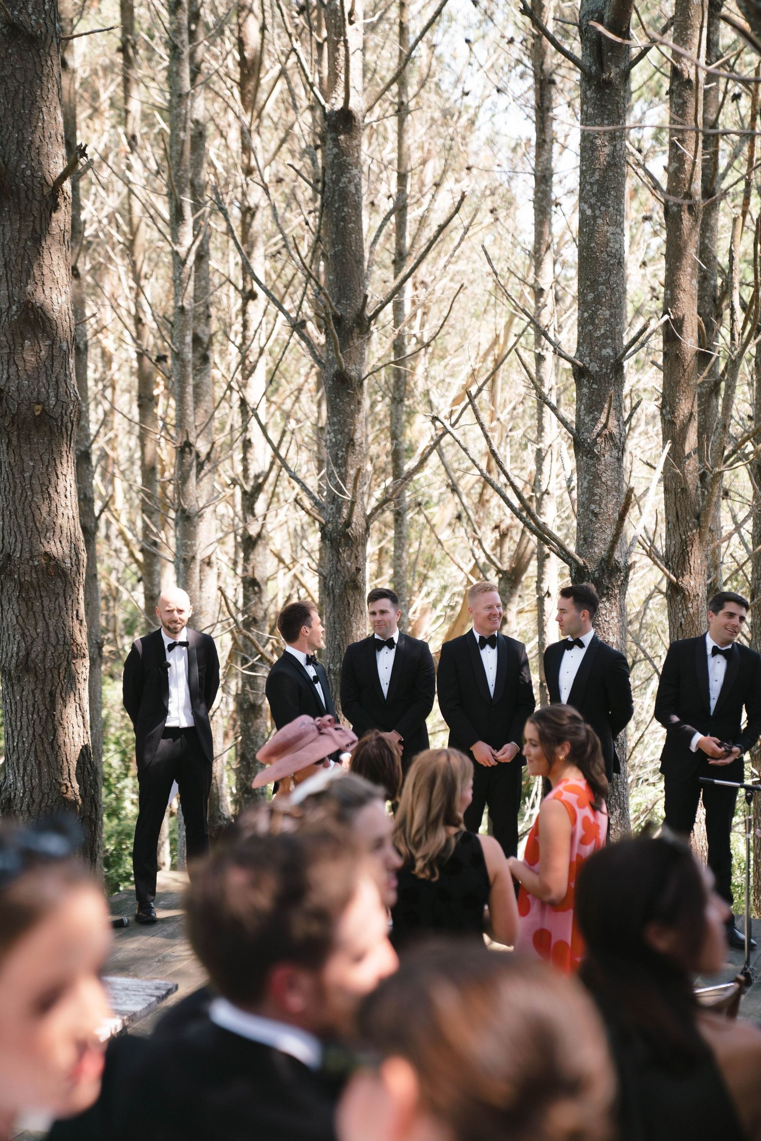 Wedding party standing in a scenic forest setting with tall pine trees creating a natural backdrop.