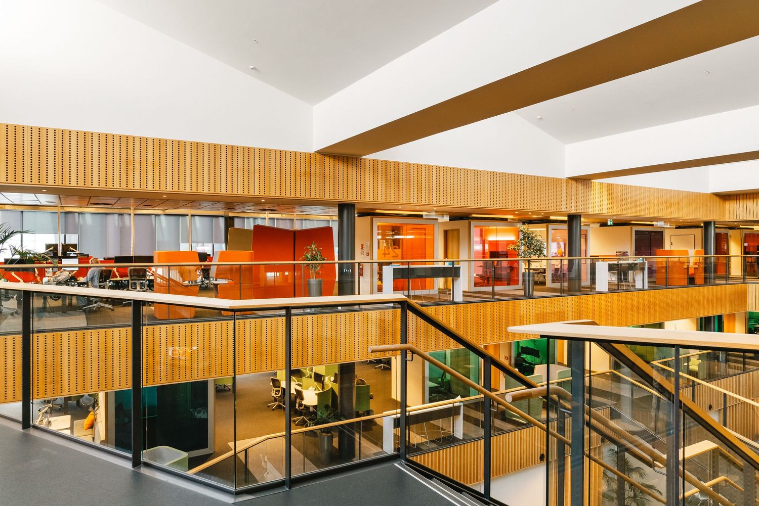 Modern open office workspace with wood paneling, natural light, and multiple seating areas for collaboration.