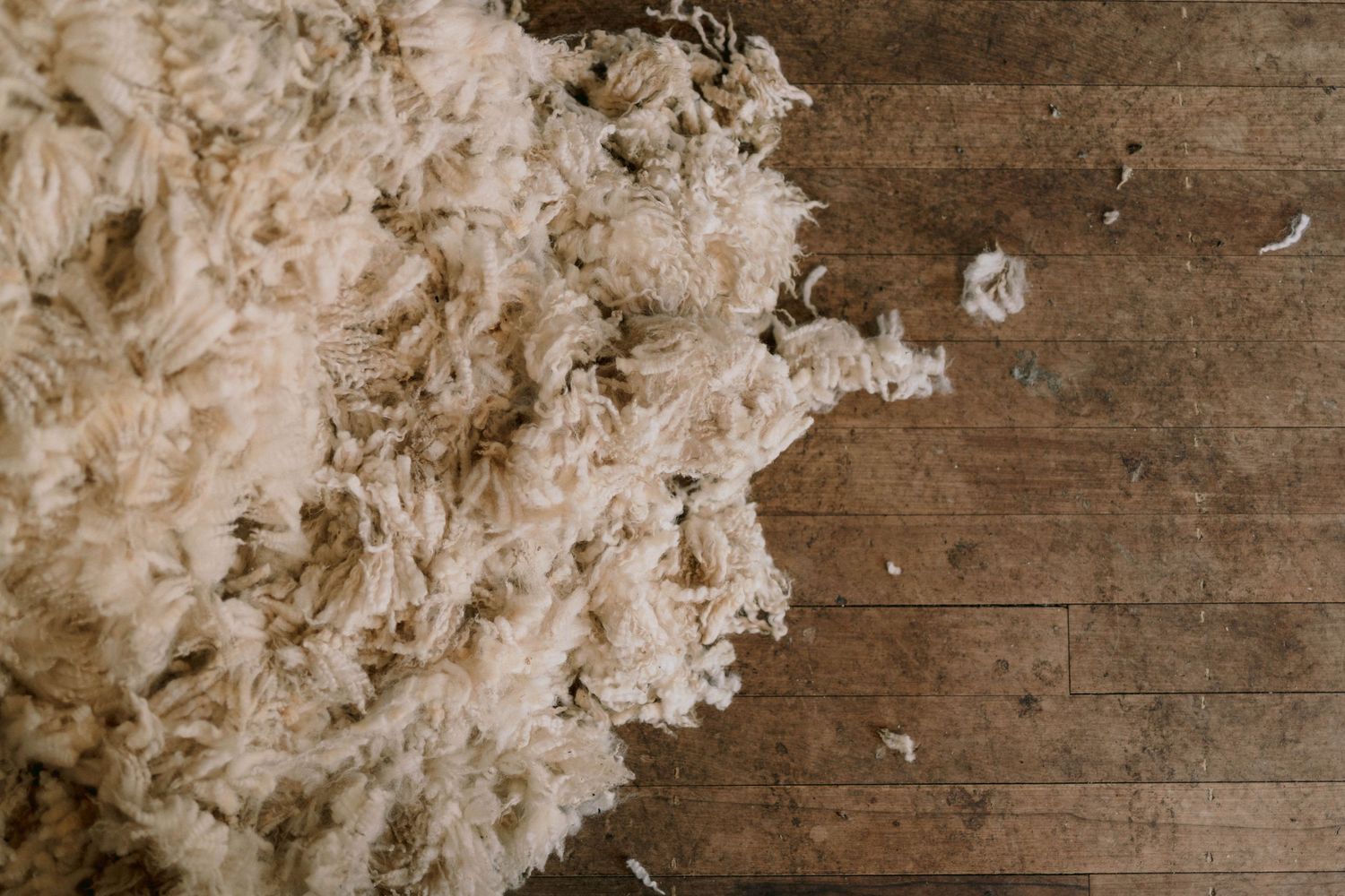 Pillow feathers scattered across a rustic wooden surface create a whimsical scene of floating white down.