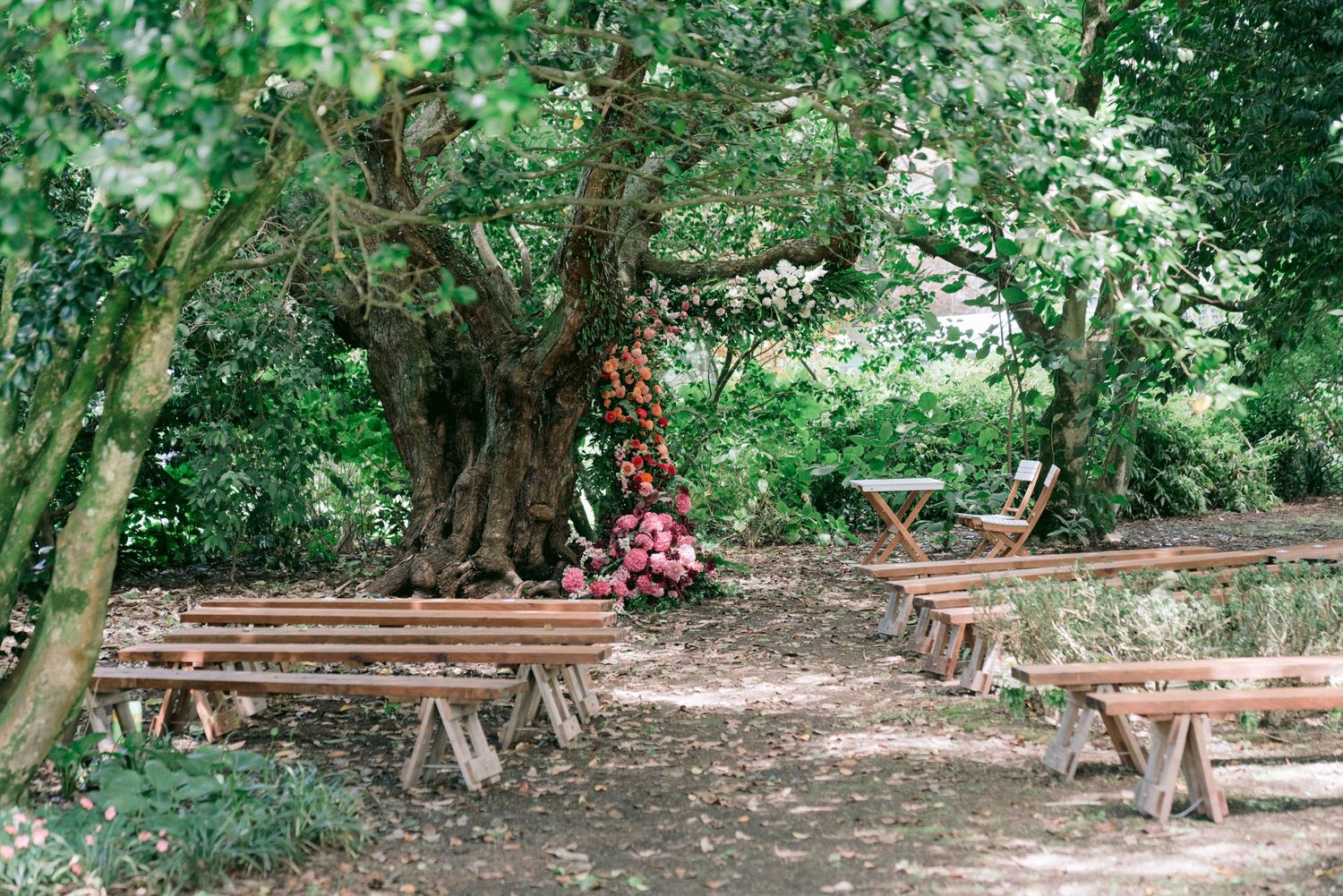 Wooden benches arranged in rows under trees in a rustic outdoor wedding ceremony setting.