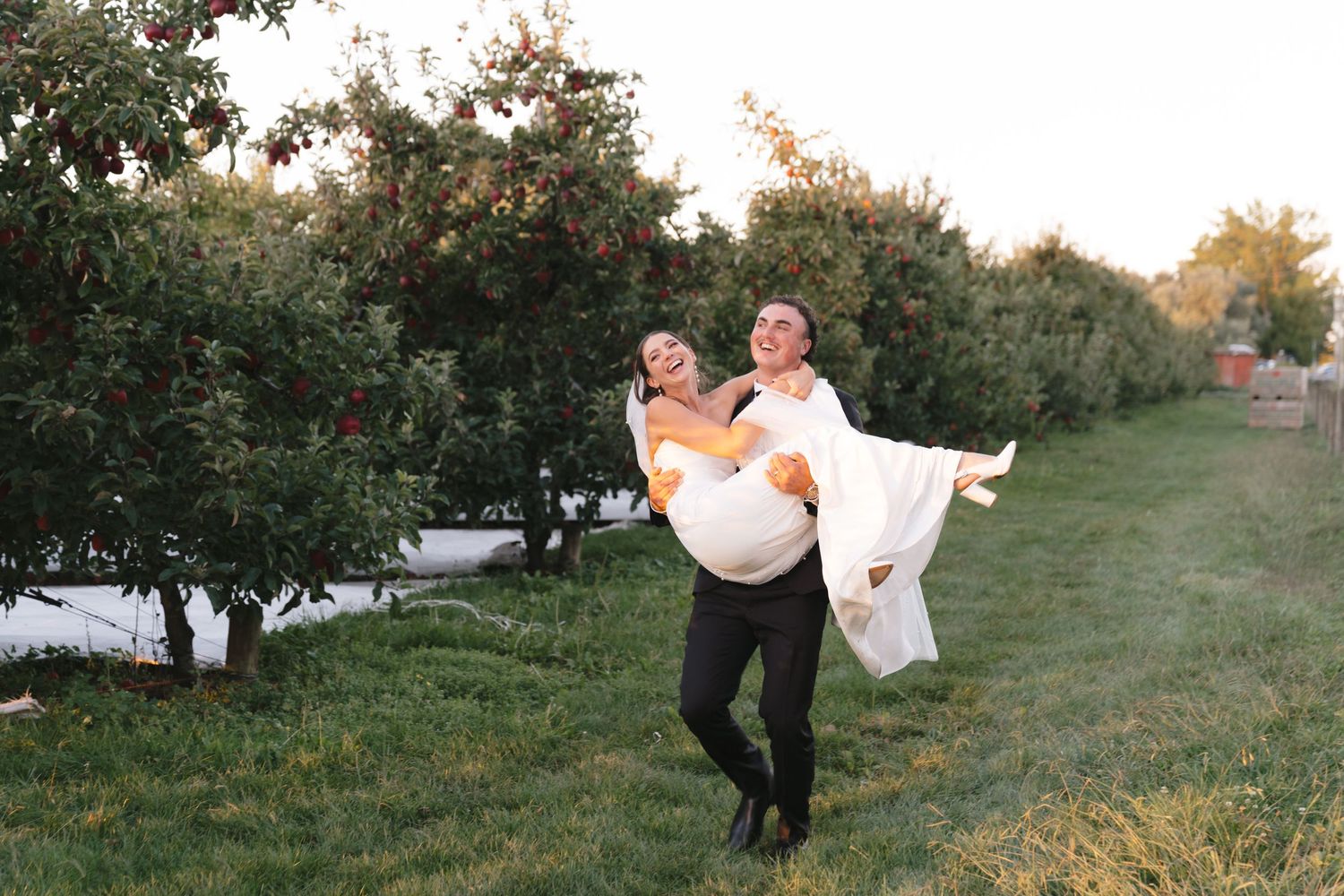 Wedding couple strolling through a scenic orchard during golden hour.