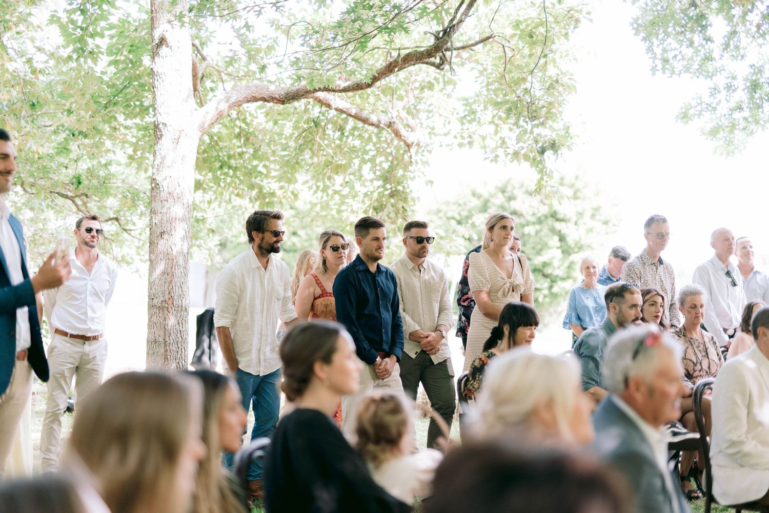 Wedding ceremony guests mingling under a canopy of green trees.
