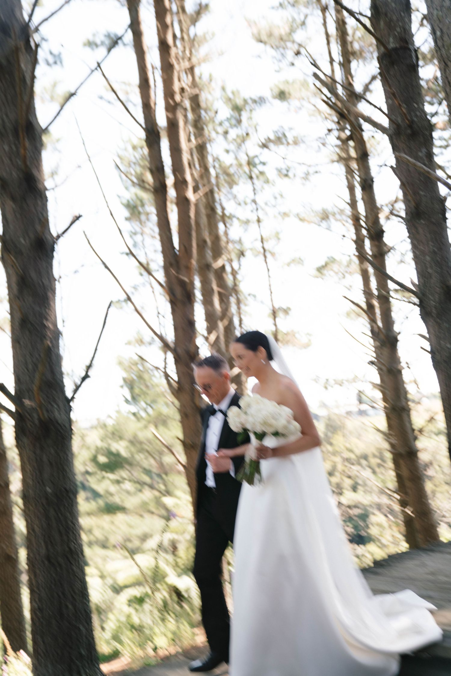 Atmospheric forest wedding ceremony with soft sunlight filtering through tall pine trees.