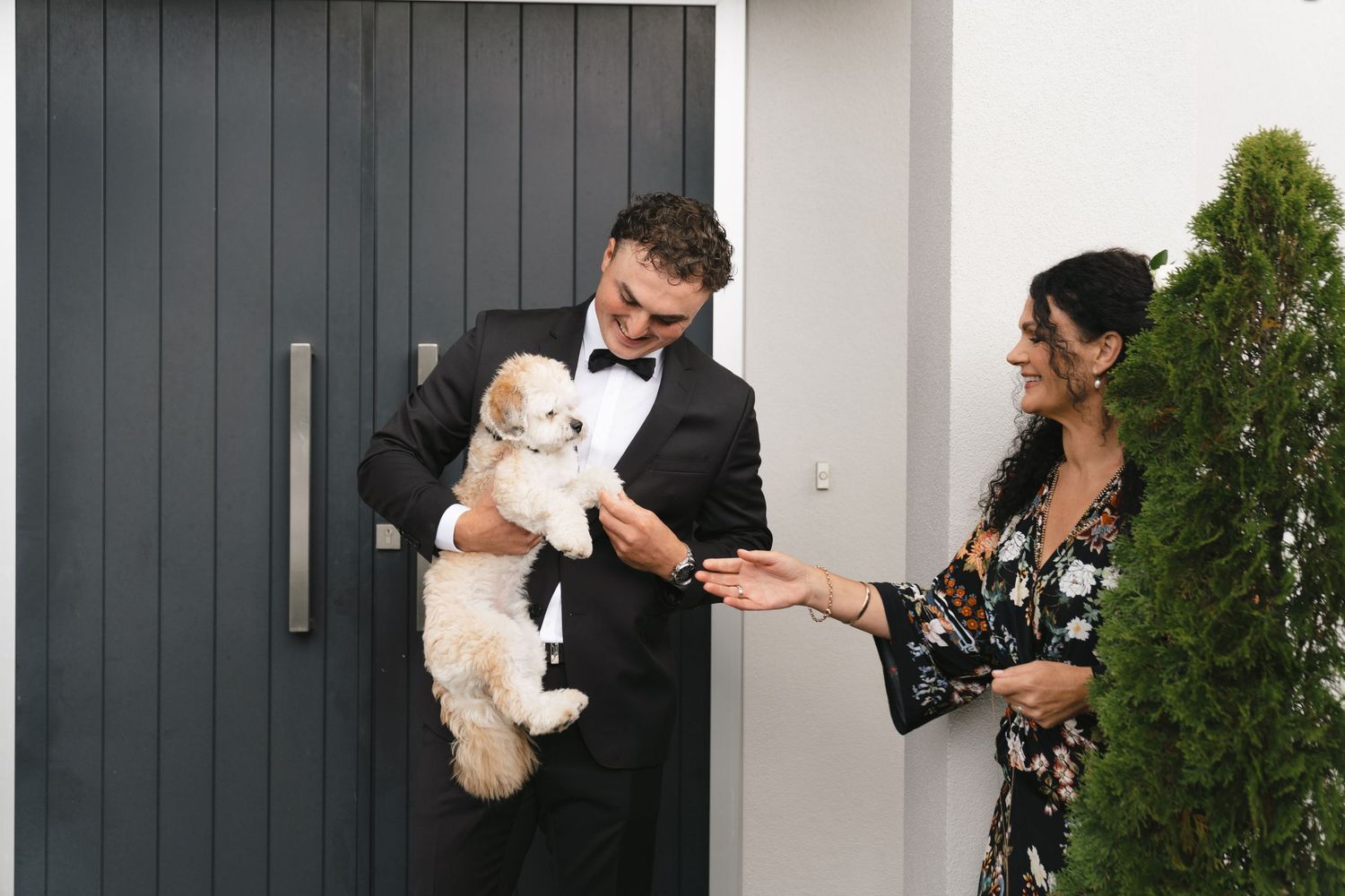 Playful sequence of five photos showing a small white dog peeking through dark gray door panels.