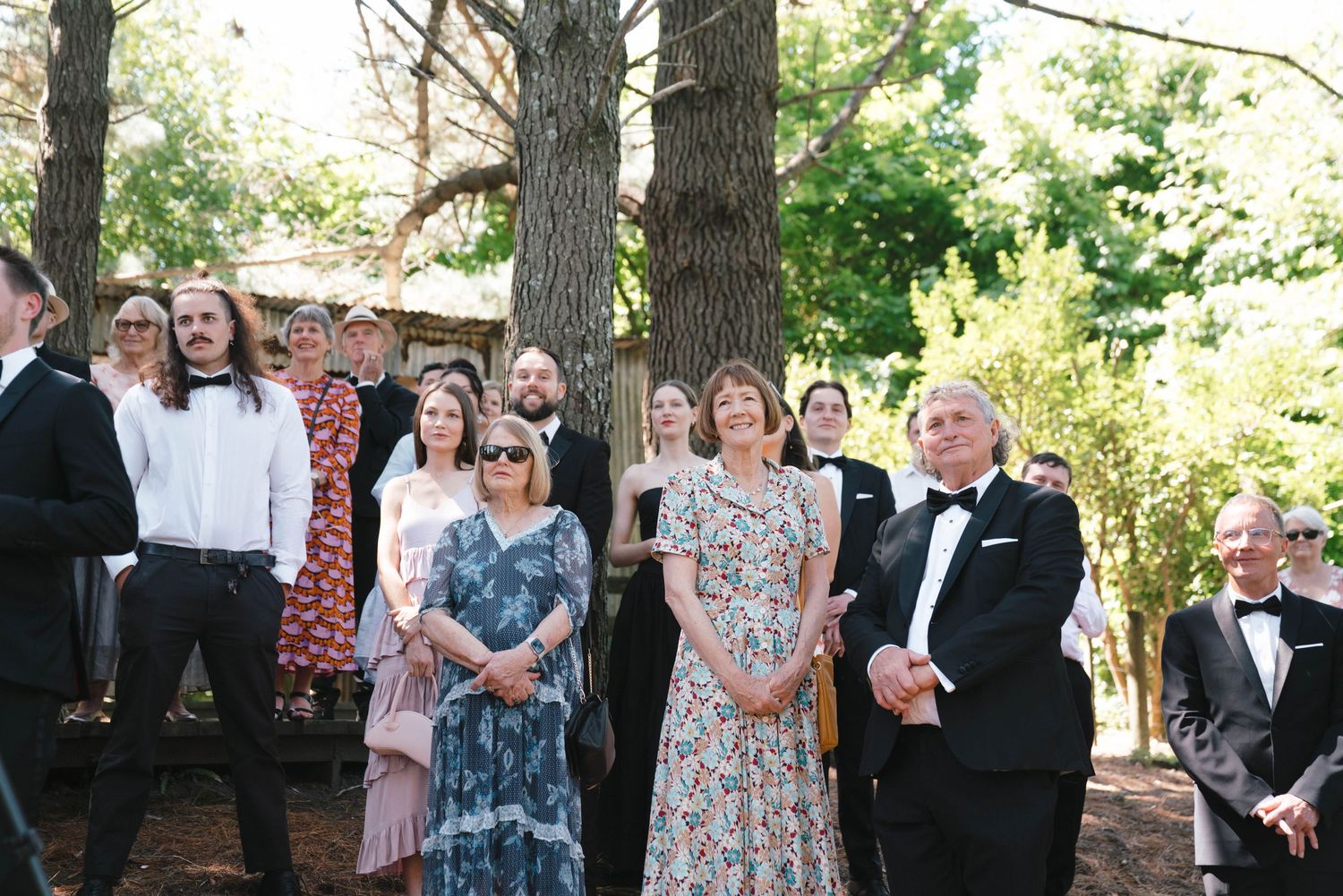 Wedding guests watching ceremony in a sun-dappled forest setting.
