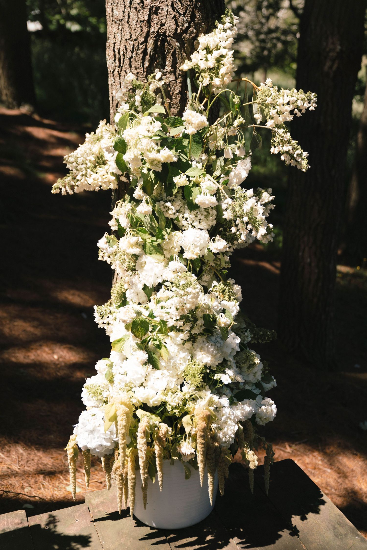 Elegant white floral arrangement in a vase with cascading blooms against a tree trunk in dappled sunlight.