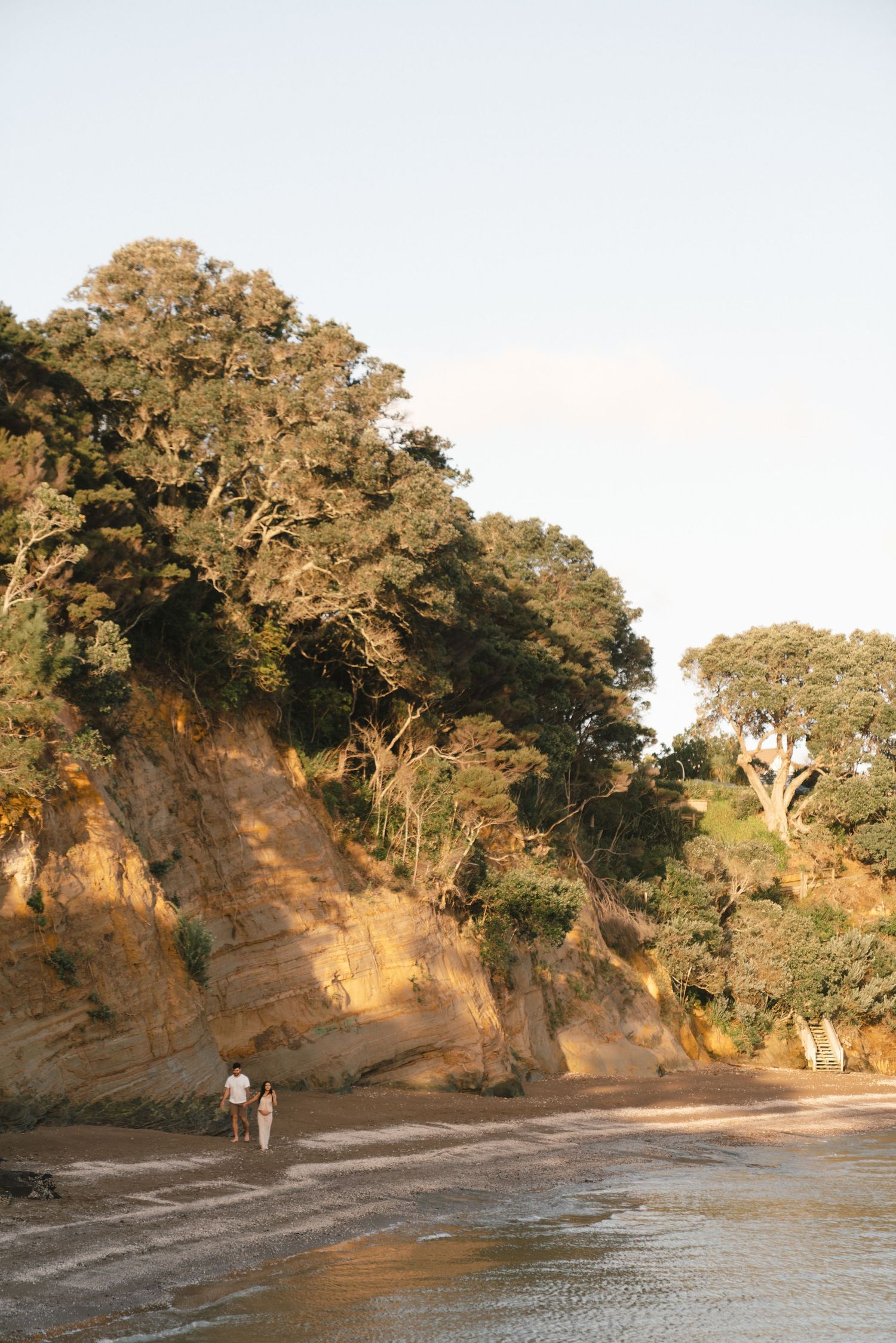 Sun illuminates the golden cliffs and native trees along a sandy beach at Cathedral Cove in New Zealand at sunset.
