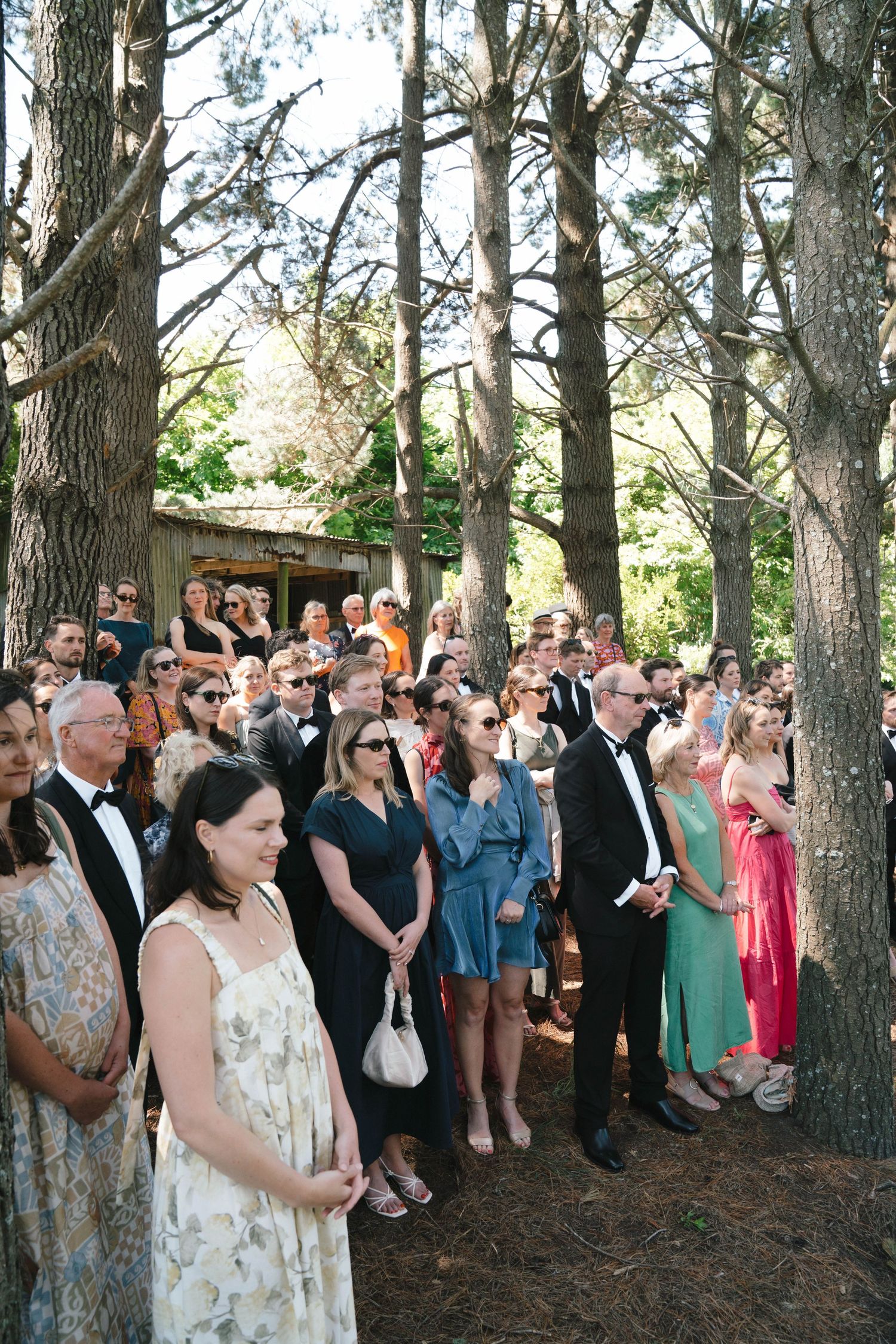Wedding guests gather in a pine forest outdoor ceremony space, watching the proceedings with formal attire.