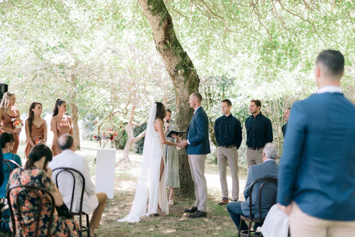 Outdoor wedding venue with guests gathered beneath towering trees.